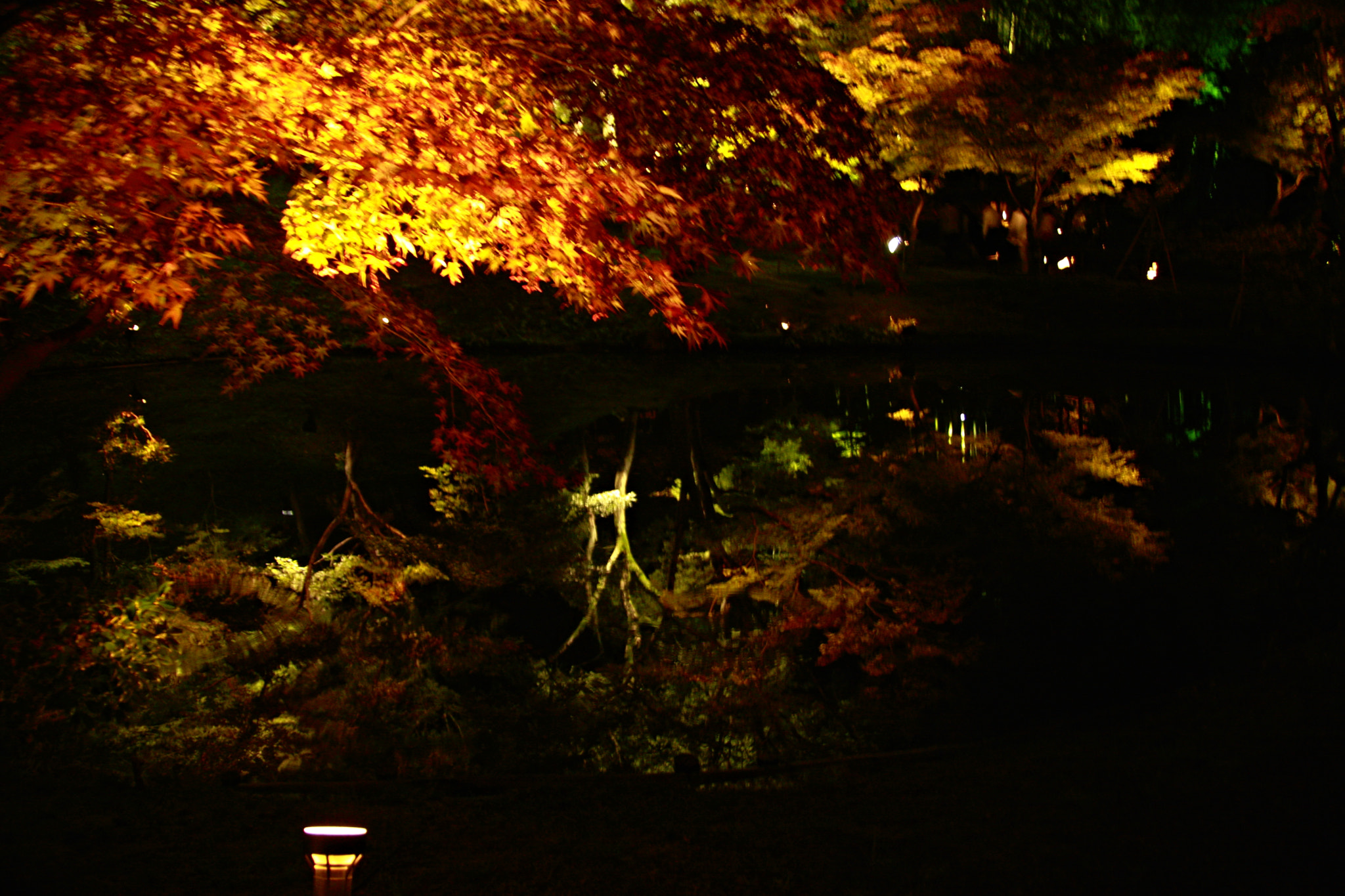 Canon EOS 40D sample photo. Kyoto kodai-ji temple light up photography
