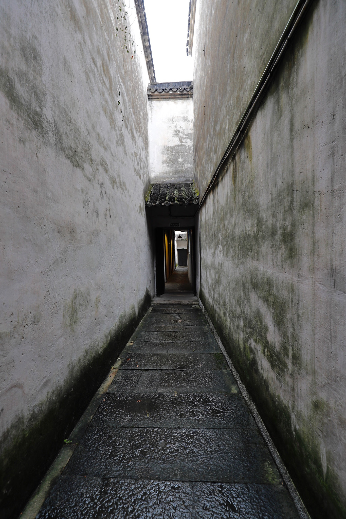 Canon EF 16-35mm F4L IS USM sample photo