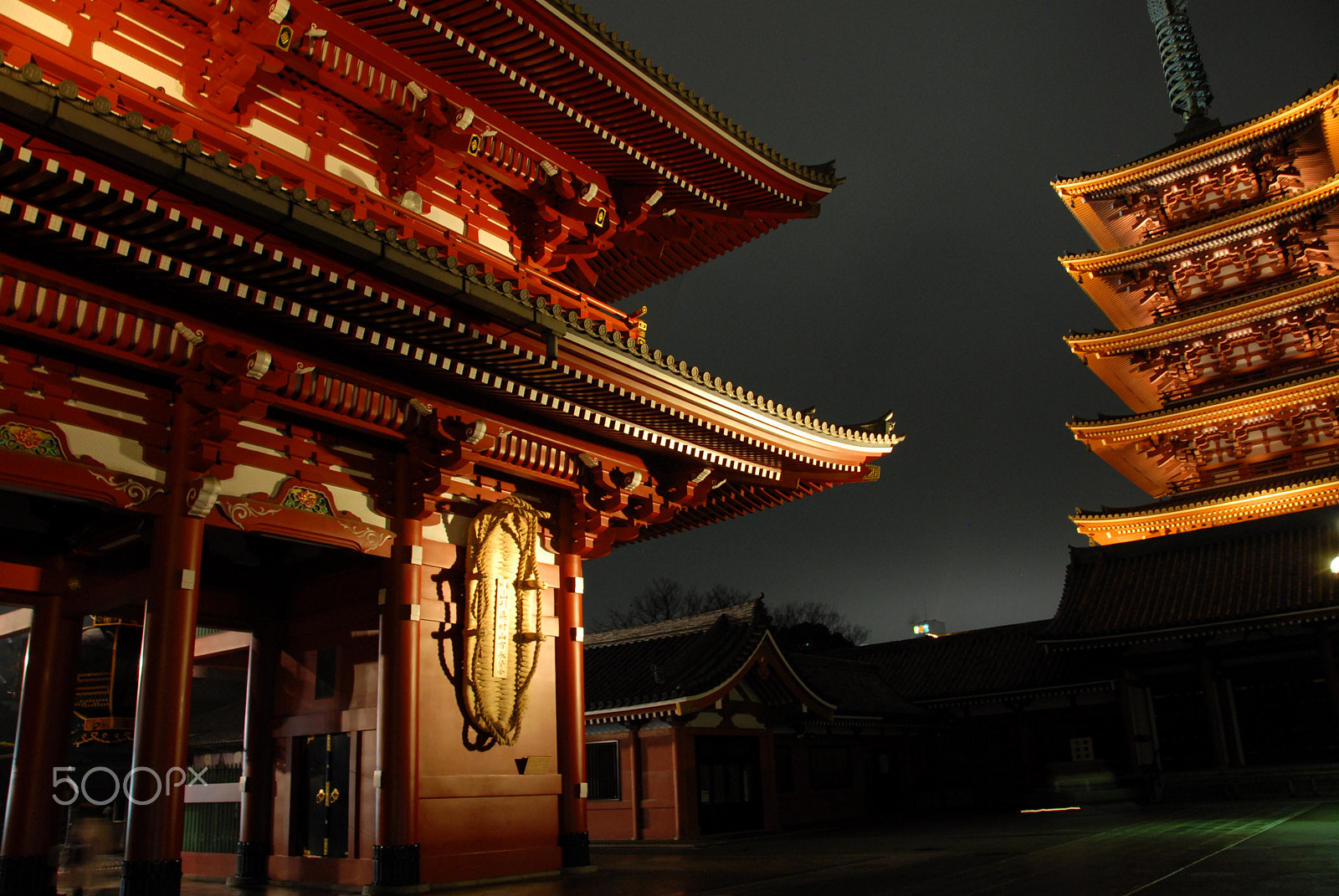 Nikon D200 sample photo. Tokyo - japan photography