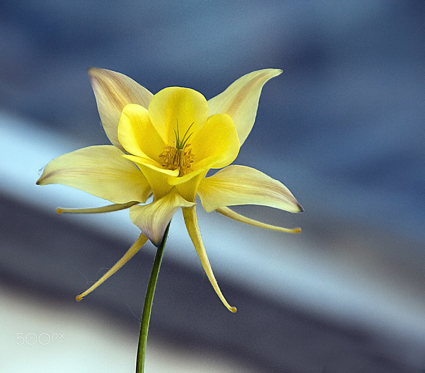 Sigma 18-250mm F3.5-6.3 DC OS HSM sample photo