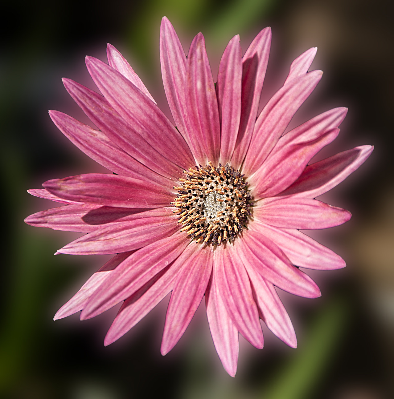 Sigma 18-250mm F3.5-6.3 DC OS HSM sample photo