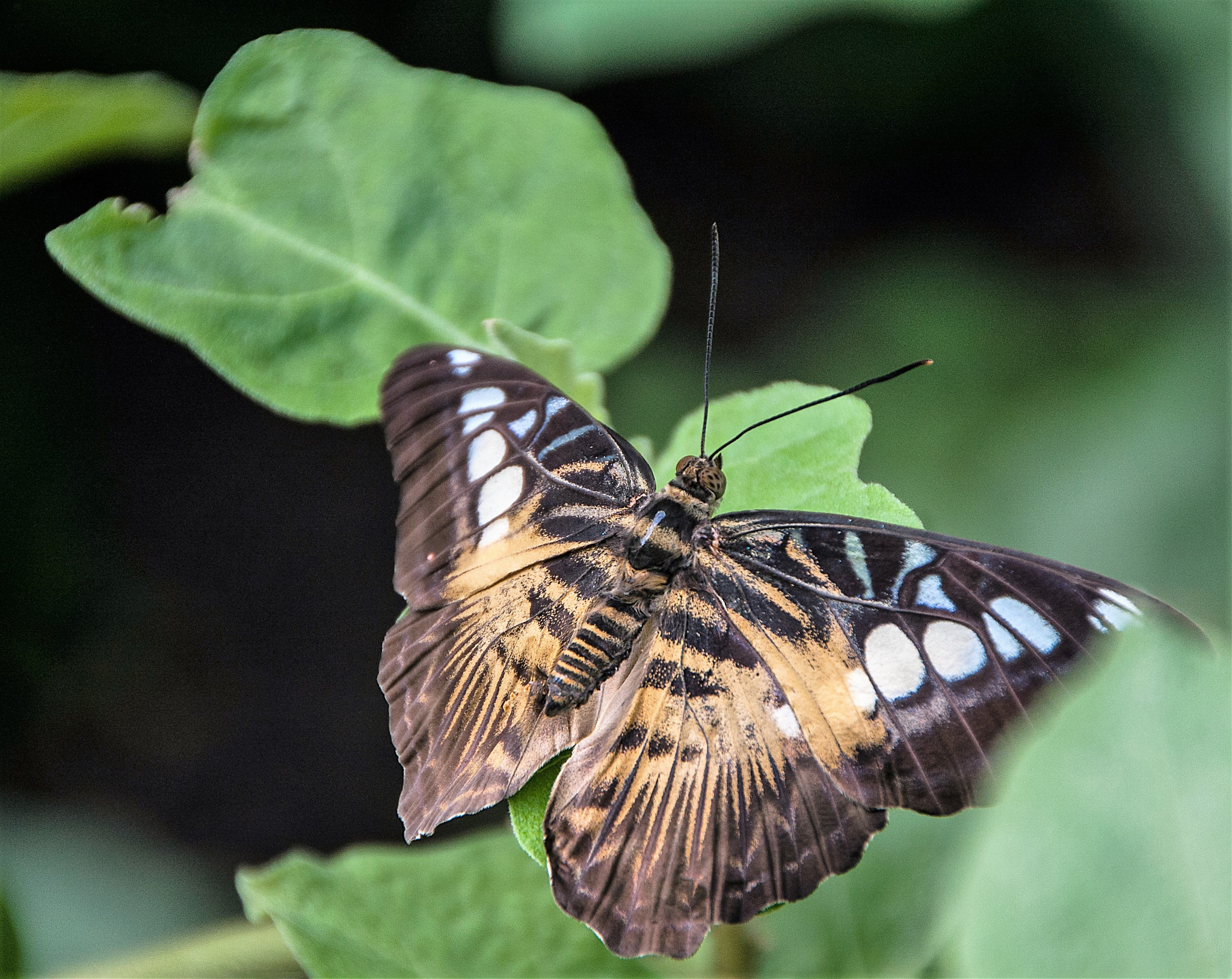 Sigma 18-250mm F3.5-6.3 DC OS HSM sample photo