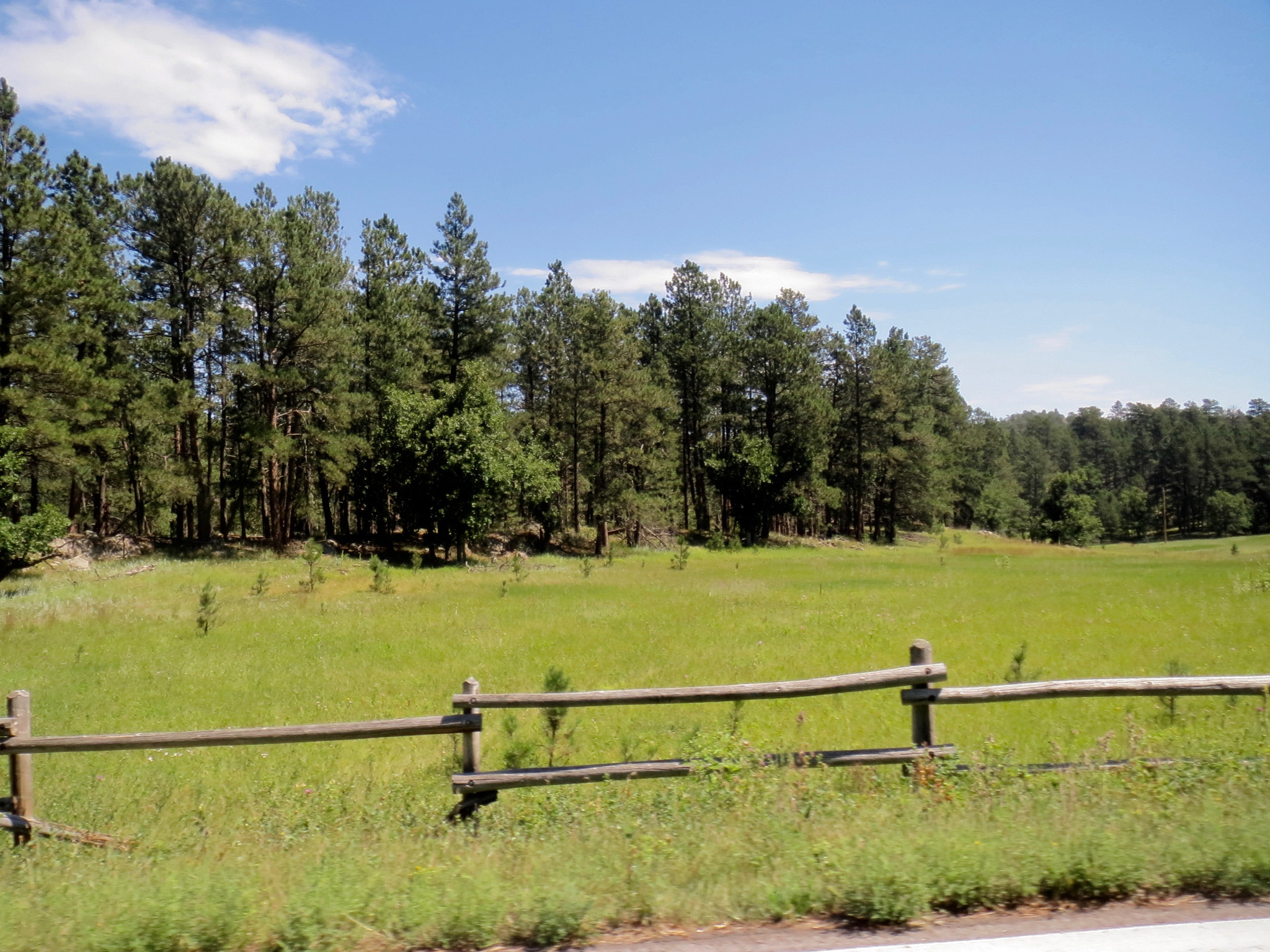 Canon PowerShot ELPH 520 HS (IXUS 500 HS / IXY 3) sample photo. A beautiful meadow in south dakota photography