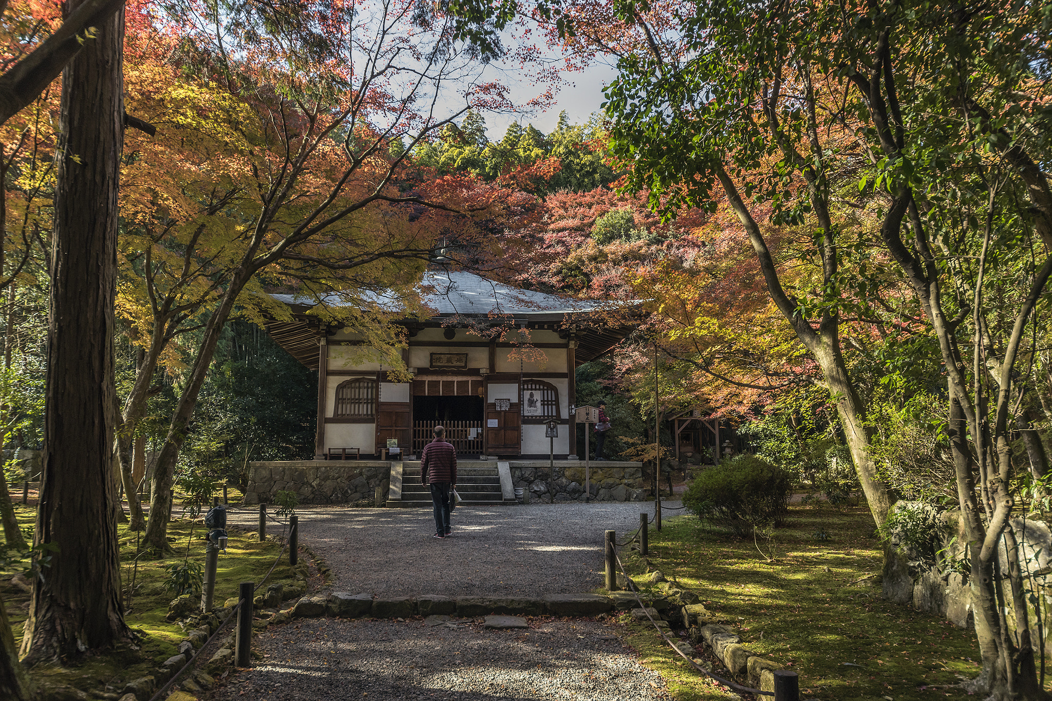 Sigma 12-24mm F4.5-5.6 II DG HSM sample photo. Jizo-in with fall leaves photography
