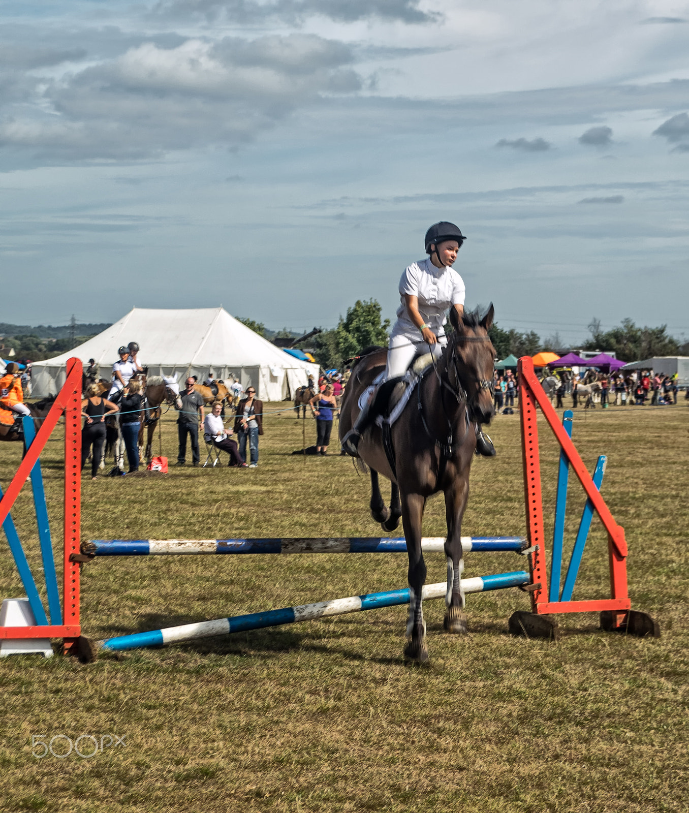 Sony DT 18-250mm F3.5-6.3 sample photo. Over the jumps 2 photography