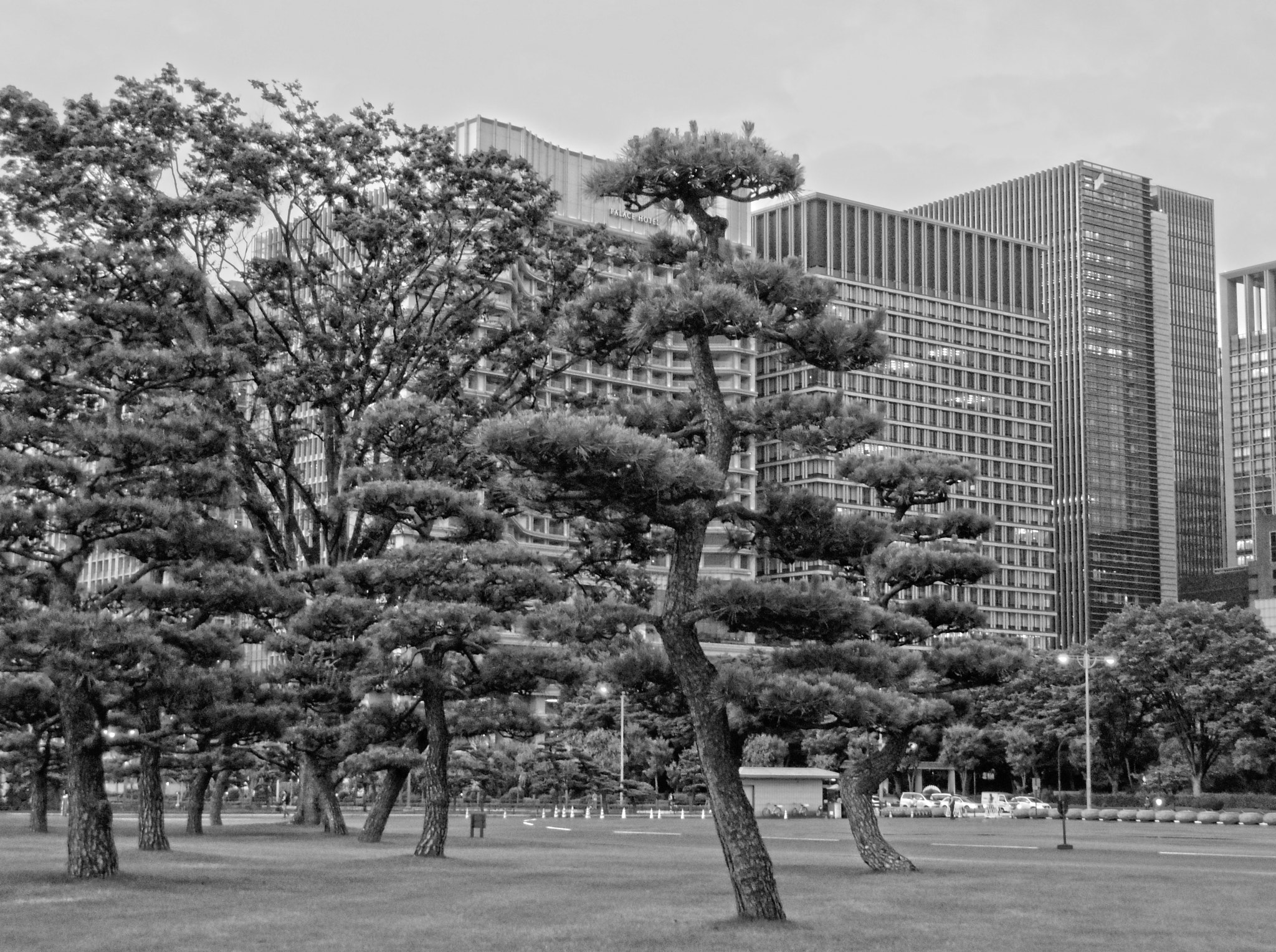 Pentax Q7 sample photo. Tokio in black and colors photography