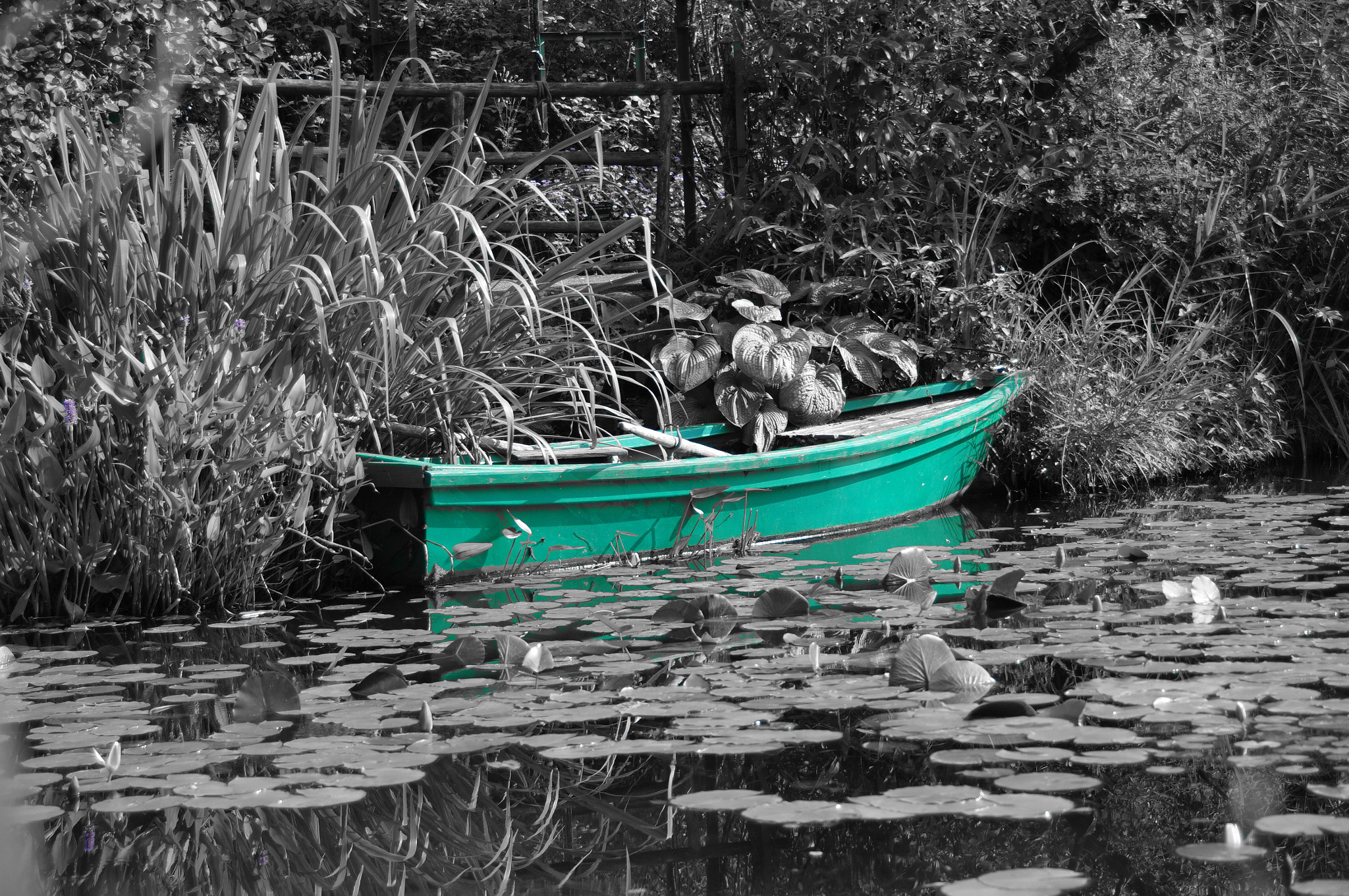 Pentax K20D sample photo. Punti di vista photography