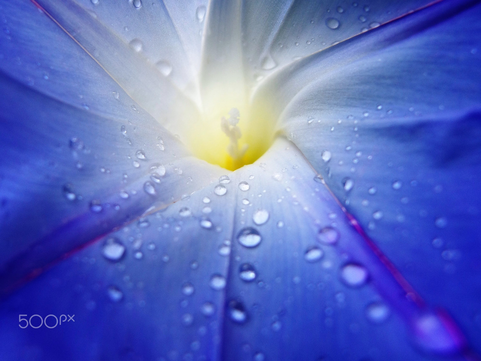 PENTAX RICOH IMAGING PENTAX MX-1 sample photo. Drops on blue photography