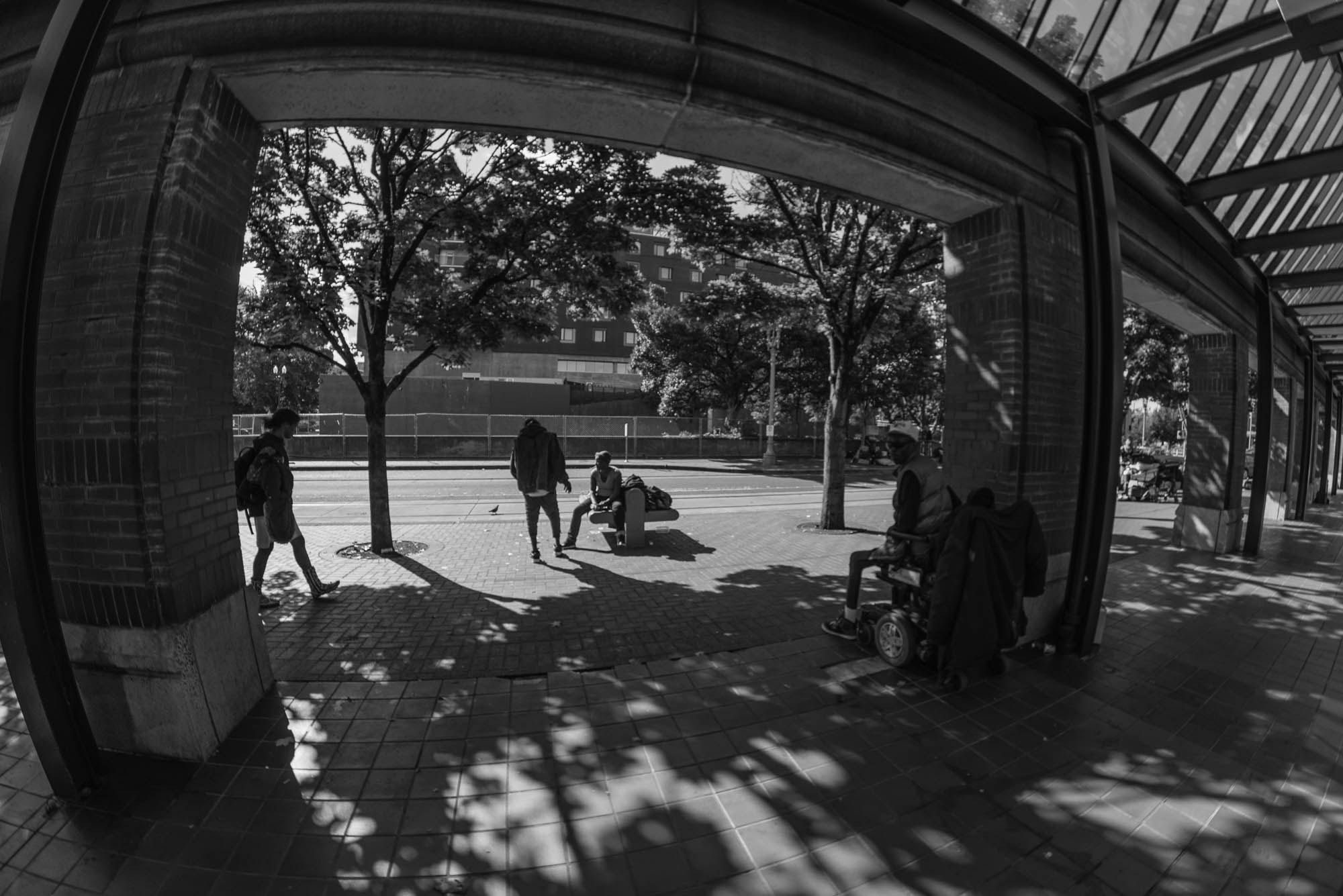 Samyang 12mm F2.8 ED AS NCS Fisheye sample photo. Dsc_6299-2.jpg photography
