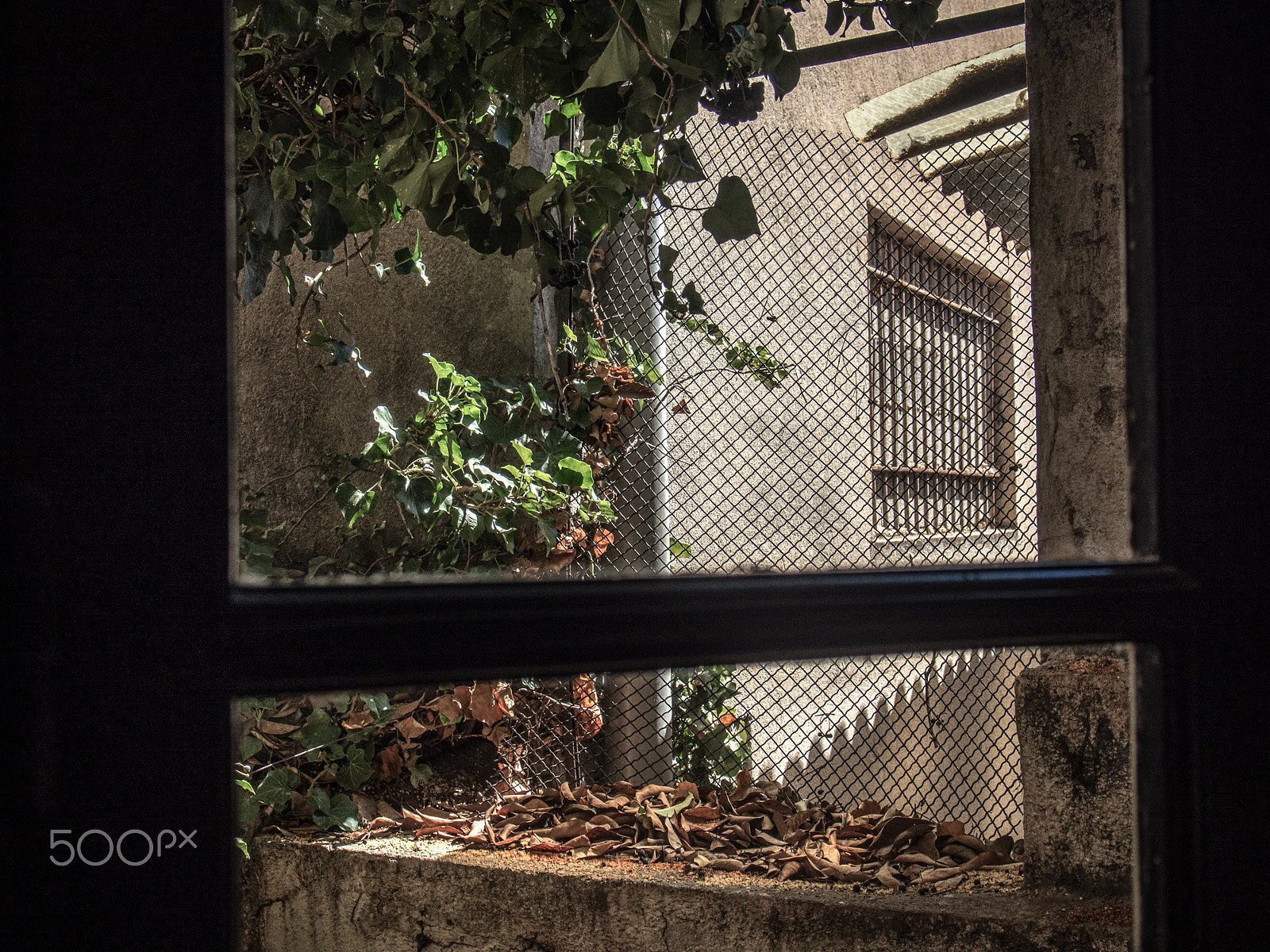 Olympus M.Zuiko Digital 14-42mm F3.5-5.6 II R sample photo. Windows. provence. photography