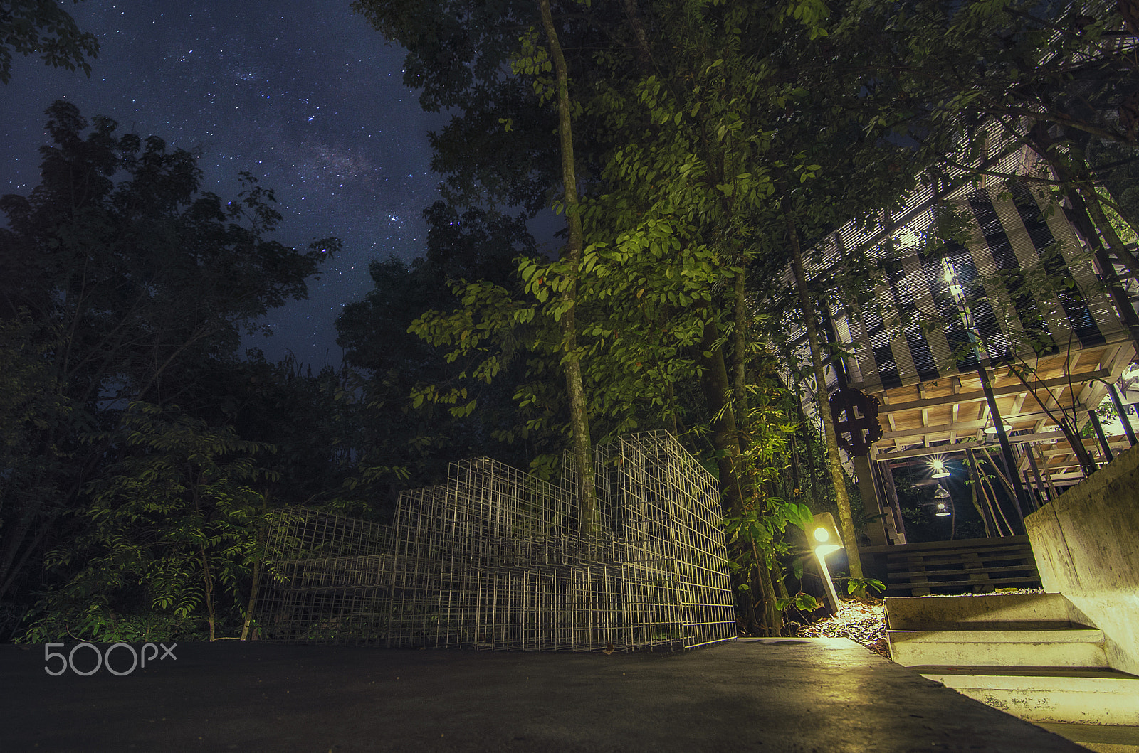 Tokina AT-X Pro 11-16mm F2.8 DX sample photo. A night in the rain forest. photography