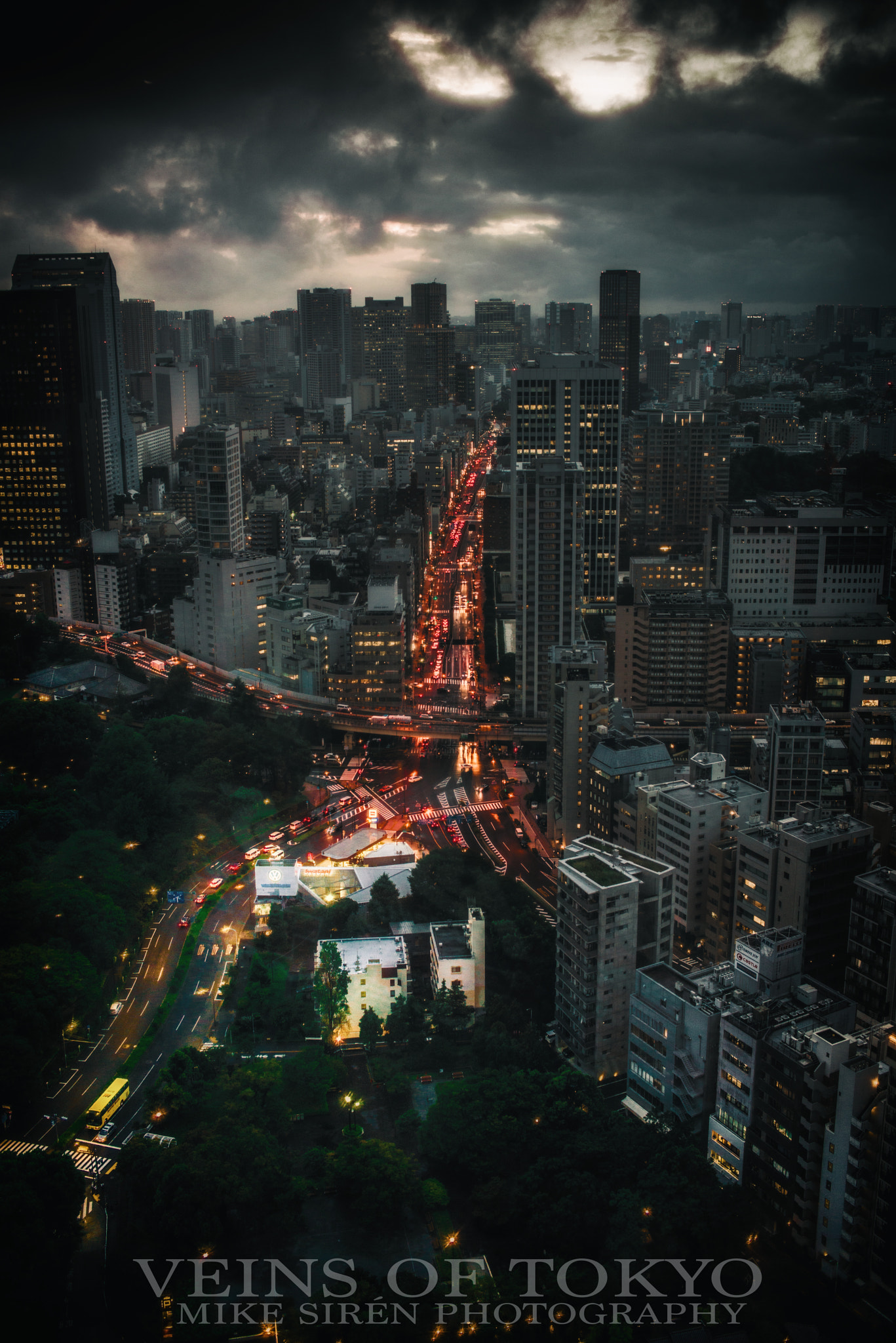 Nikon D800 + Zeiss Milvus 35mm f/2 sample photo. Veins of tokyo photography