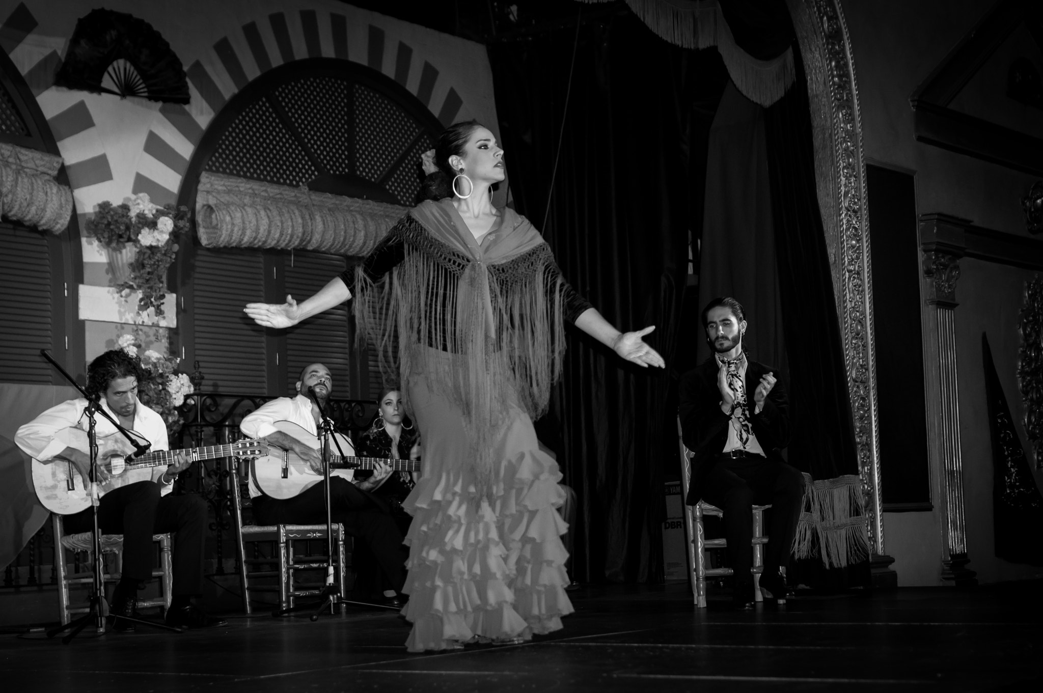 Sony Alpha NEX-F3 + Sony E 35mm F1.8 OSS sample photo. Flamenco. photography