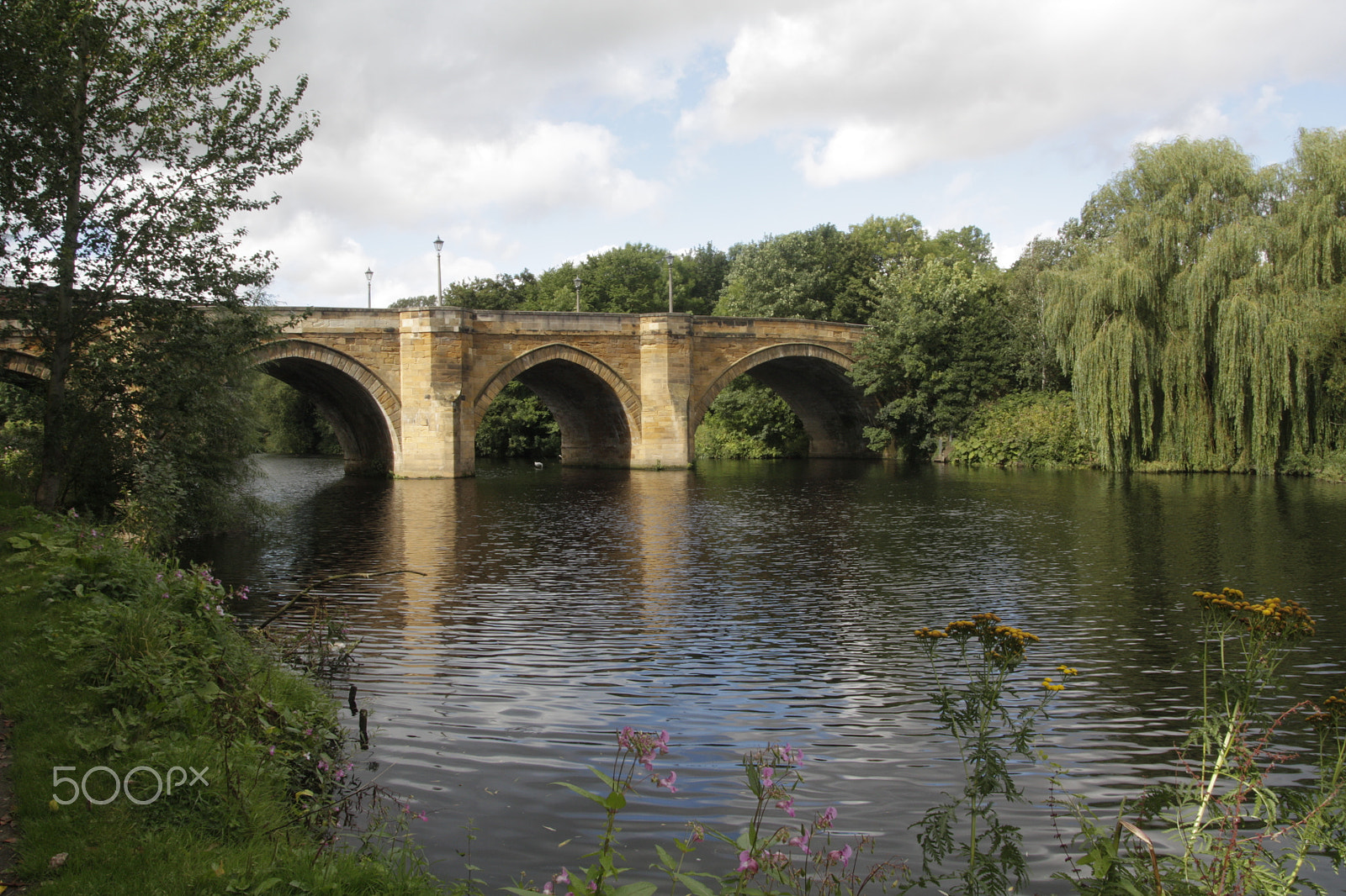 Canon EOS 450D (EOS Rebel XSi / EOS Kiss X2) sample photo. River tees at yarm photography