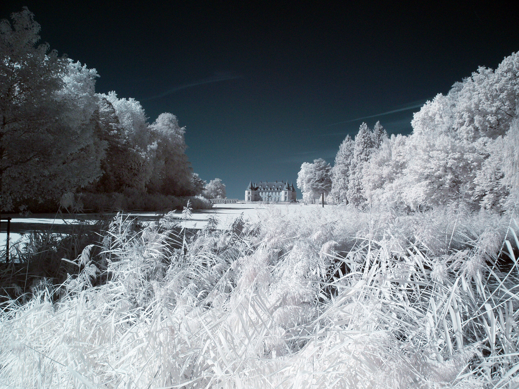 Panasonic DMC-LS2 sample photo. Infrared photography