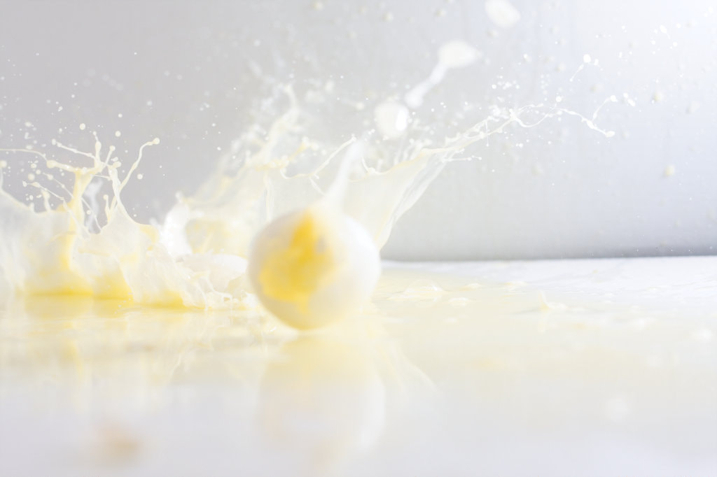 Canon EOS 40D sample photo. Egg photography