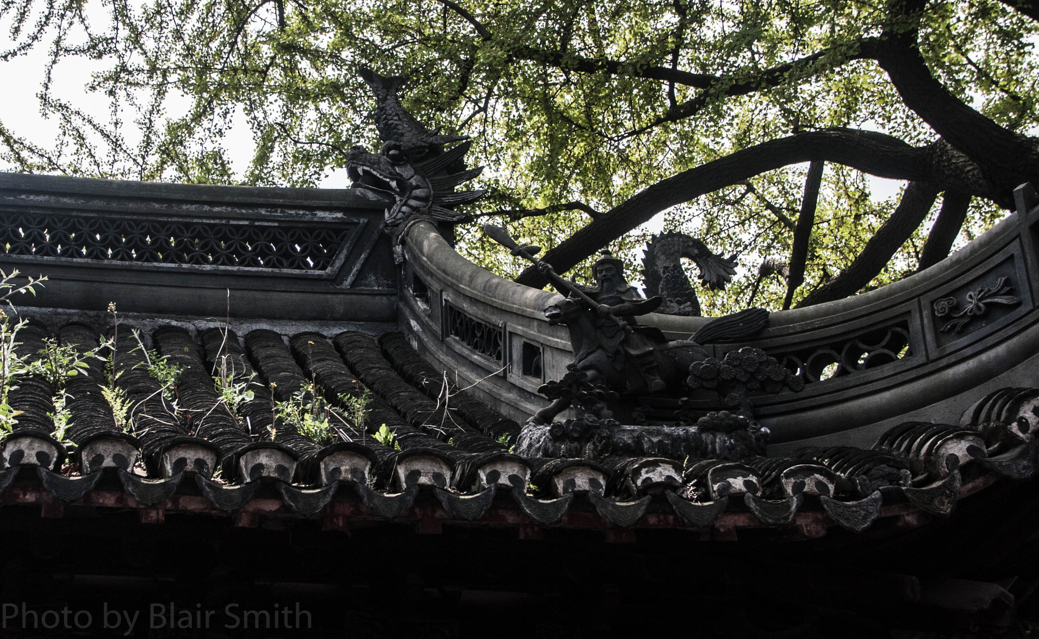 Canon EOS 40D sample photo. Attack photography