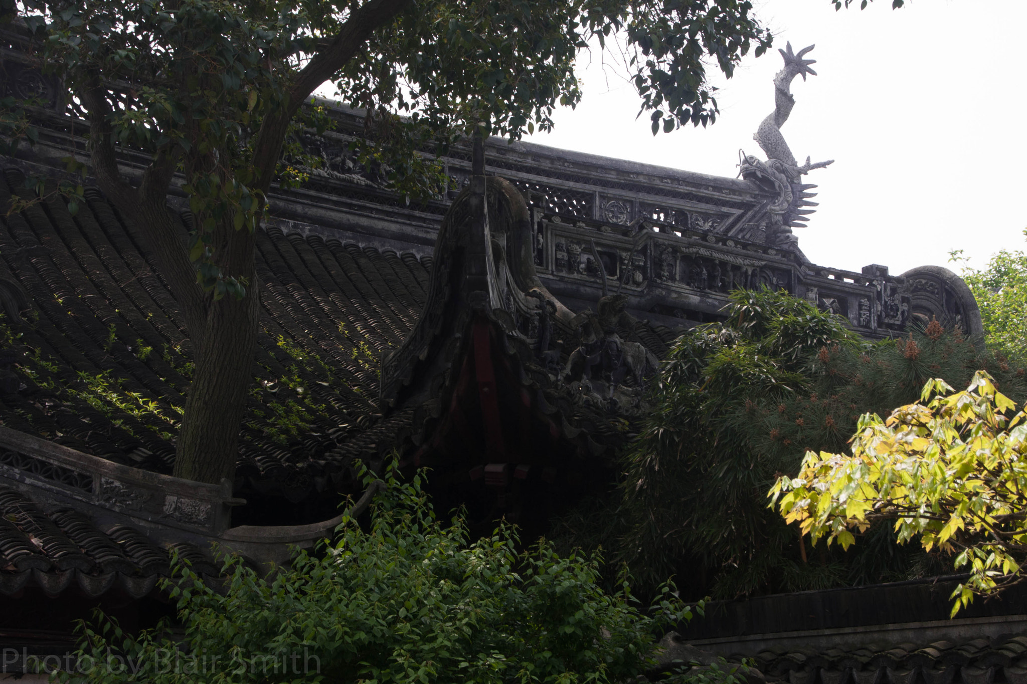 Canon EOS 40D sample photo. Dragon carving photography