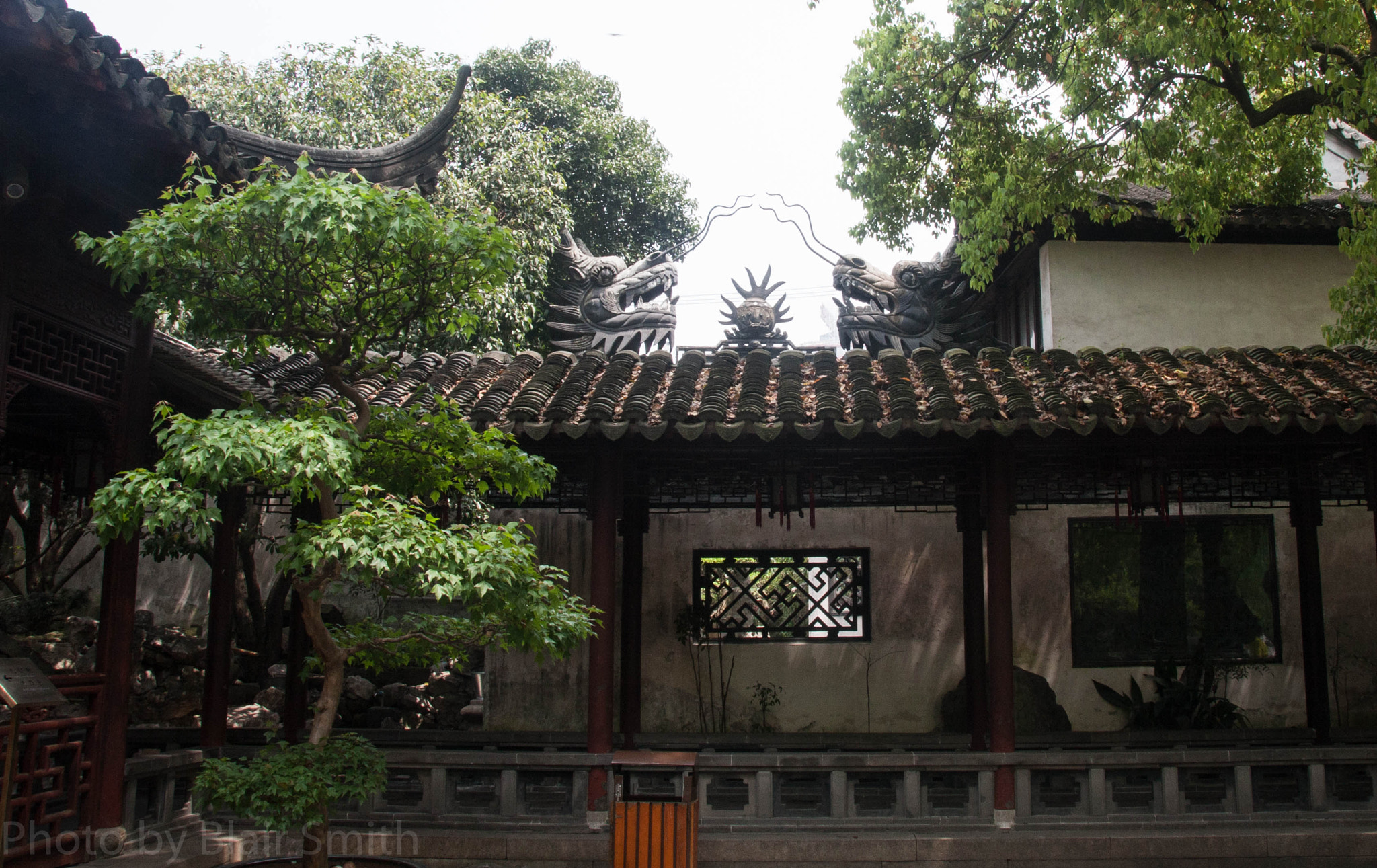 Canon EOS 40D sample photo. Dragon heads photography