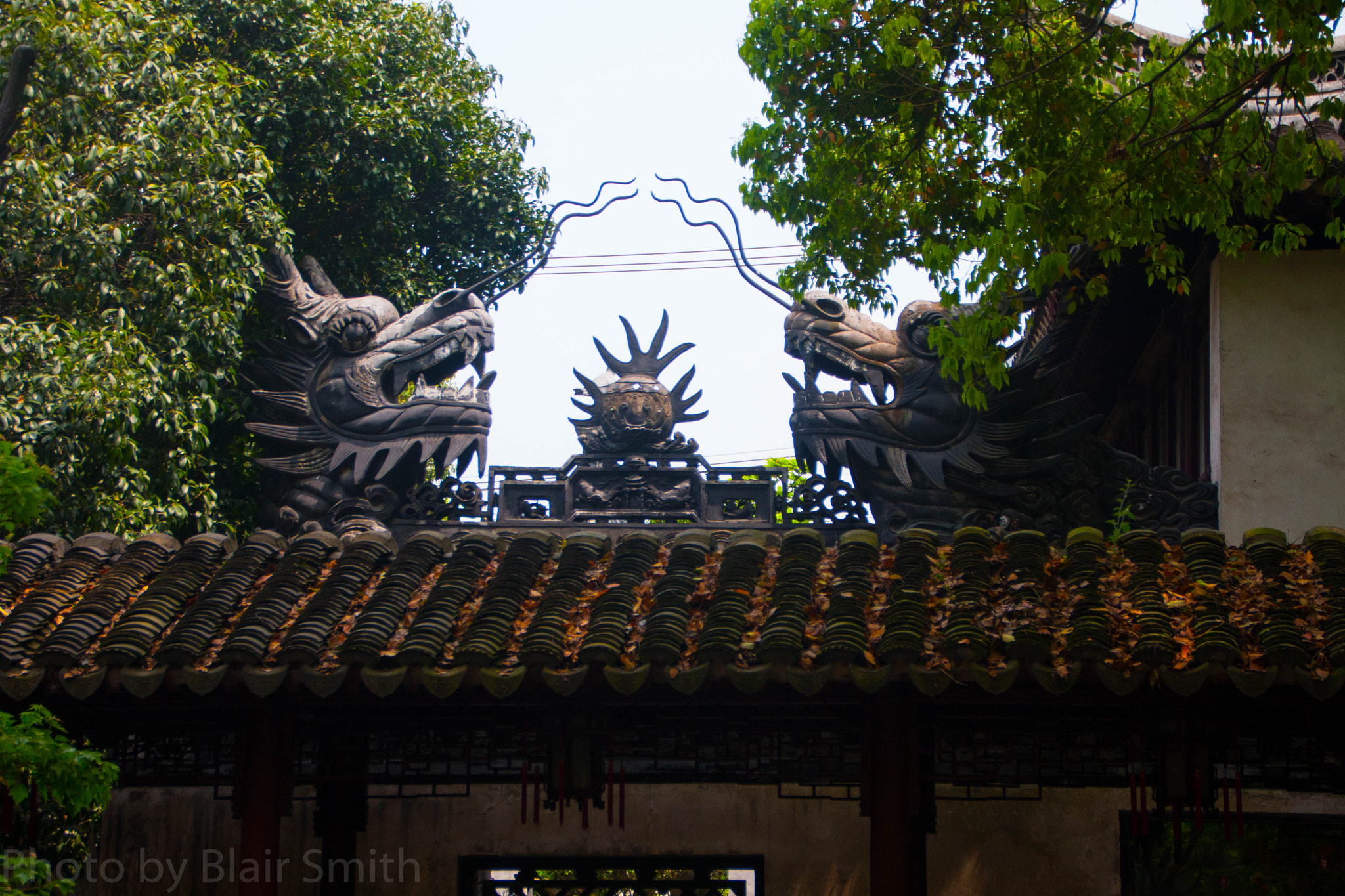 Canon EOS 40D sample photo. Dragon heads photography