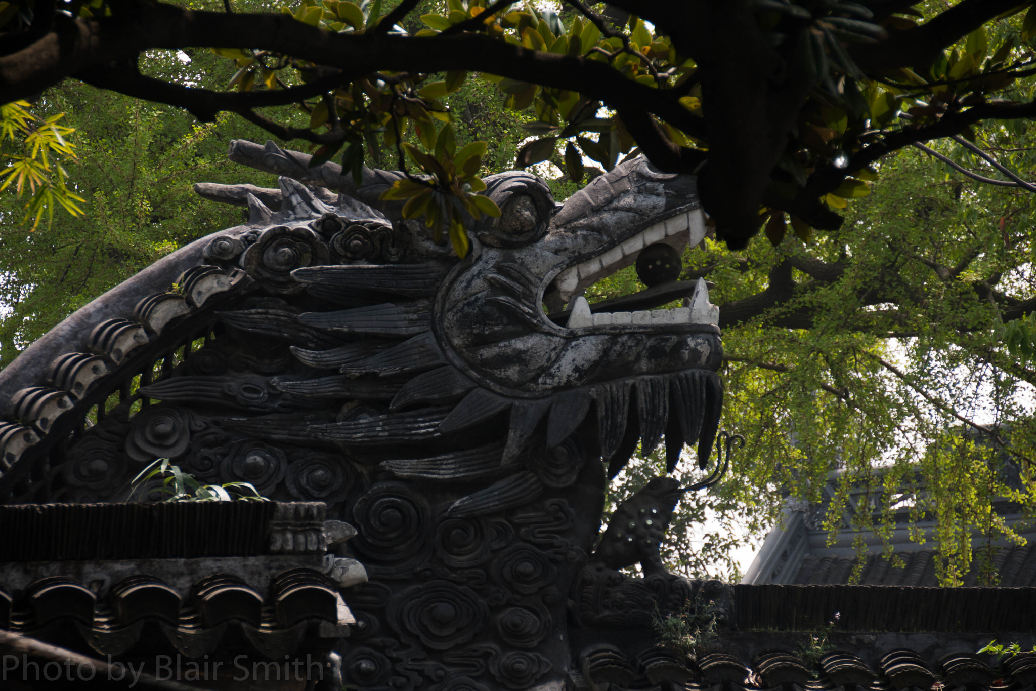 Canon EOS 40D sample photo. Dragon photography