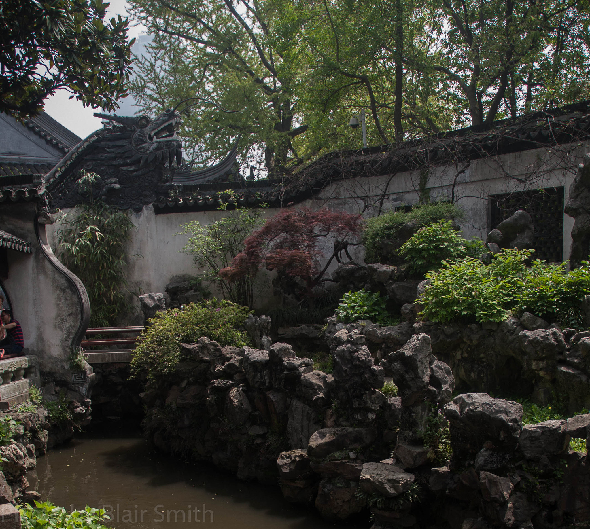 Canon EOS 40D sample photo. Dragon photography