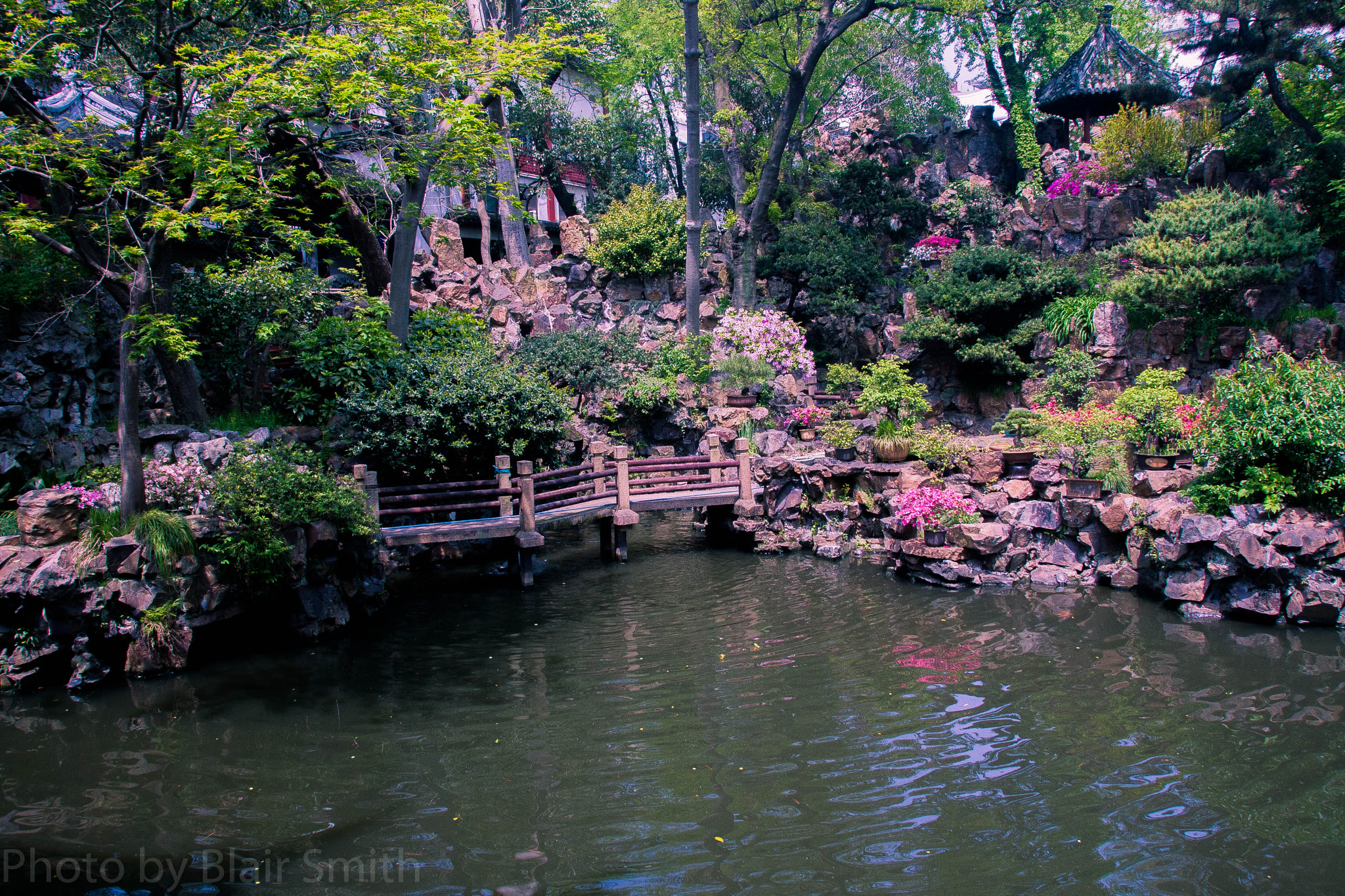 Canon EOS 40D sample photo. Garden photography