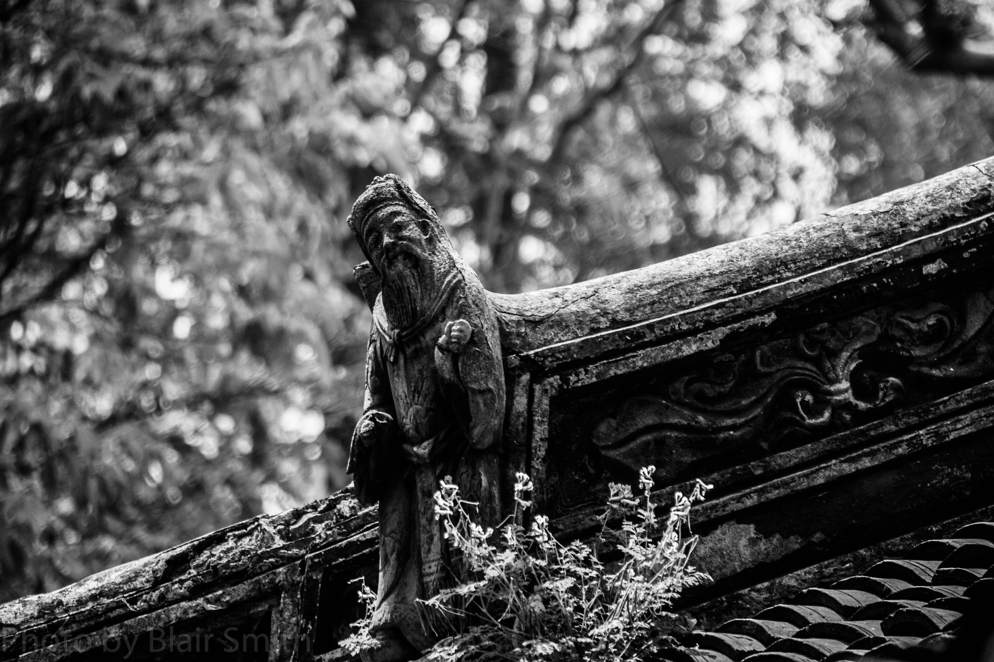 Canon EOS 40D sample photo. Garden carving photography
