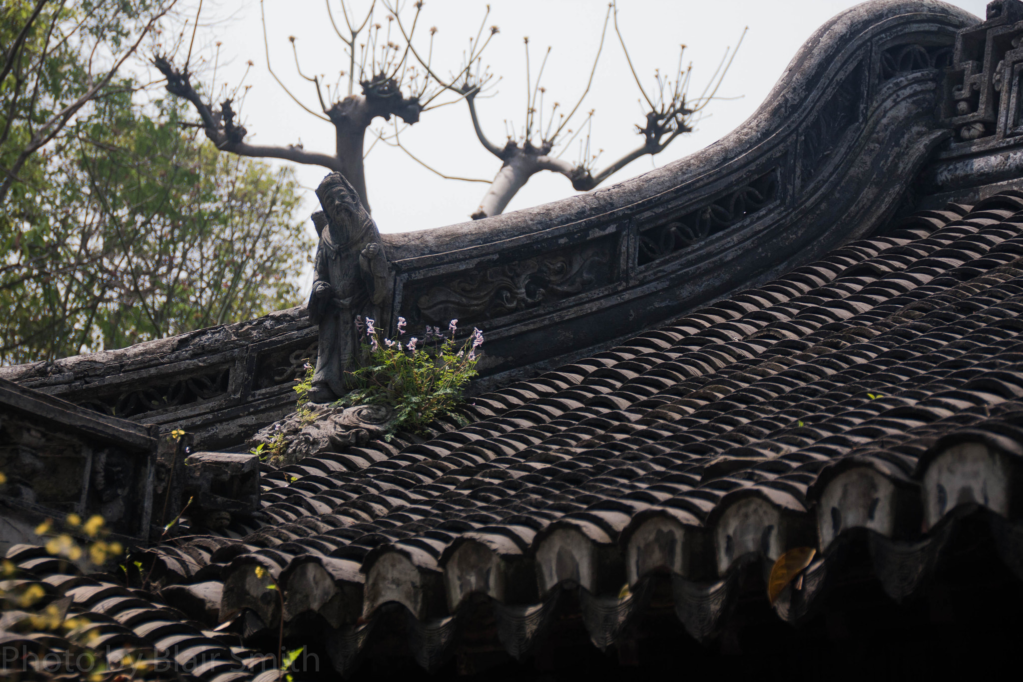 Canon EOS 40D sample photo. Garden carving photography