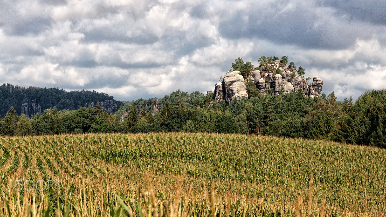 Sigma 17-70mm F2.8-4 DC Macro OS HSM sample photo. Blick auf den gamrig photography