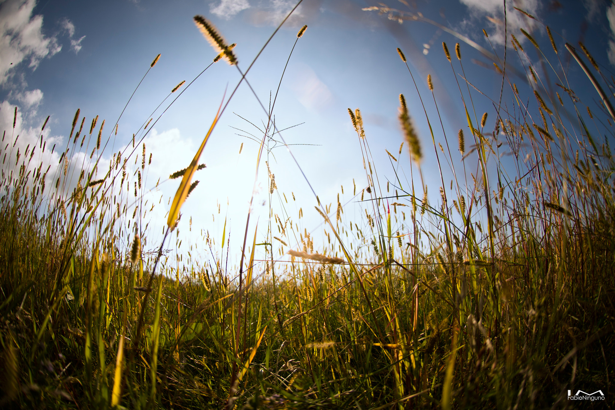 Nikon AF DX Fisheye-Nikkor 10.5mm F2.8G ED sample photo. 10 mm in the nature photography