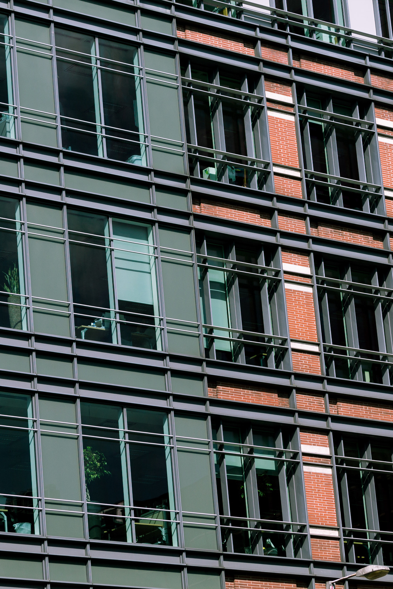 Canon EF-S 55-250mm F4-5.6 IS STM sample photo. Windows photography