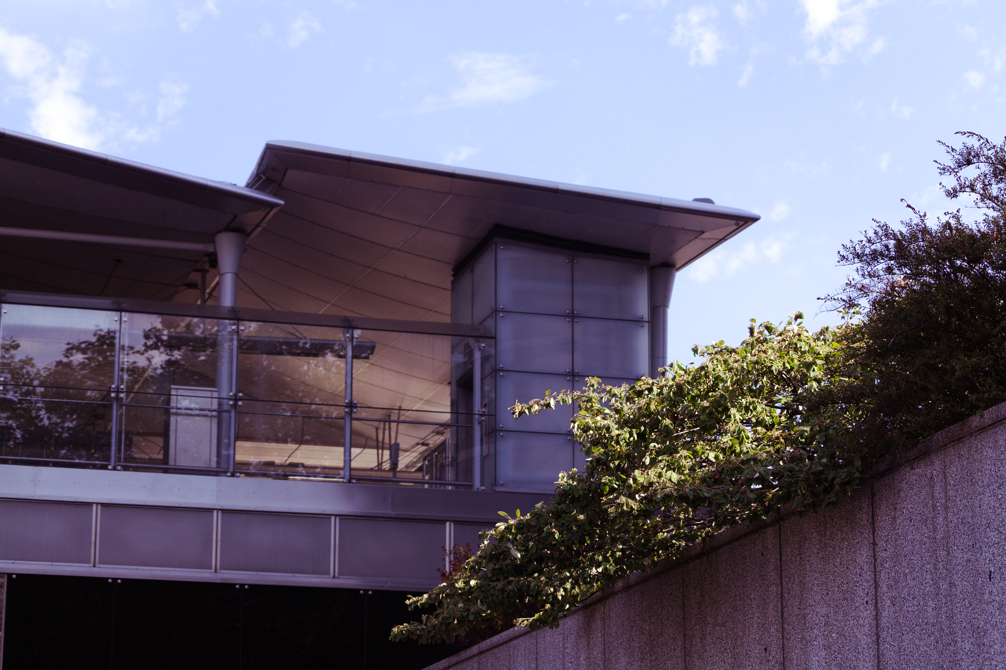 Canon EF-S 55-250mm F4-5.6 IS STM sample photo. Greenery photography