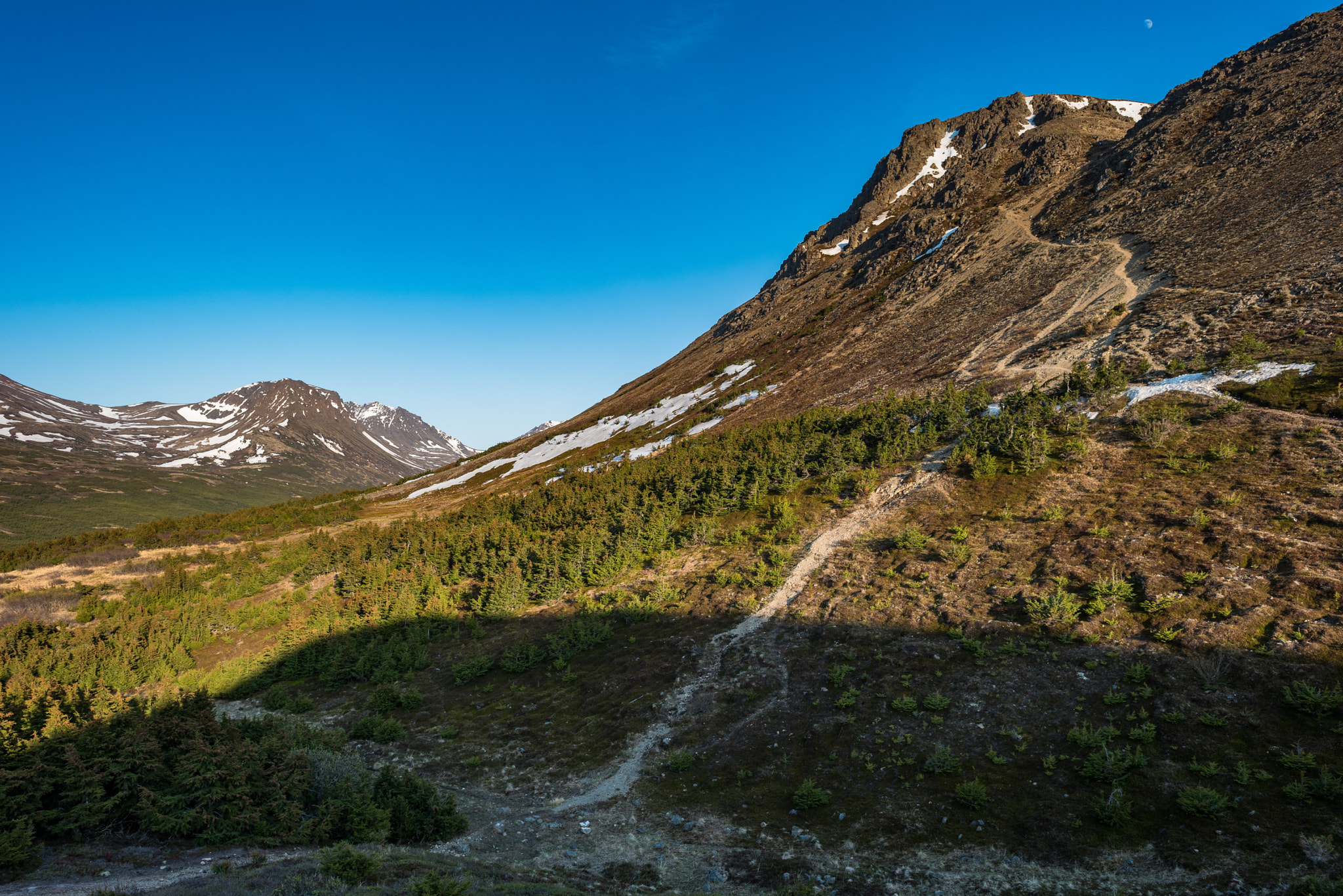 Nikon D750 + Nikon AF-S Nikkor 24mm F1.4G ED sample photo. Flat top photography