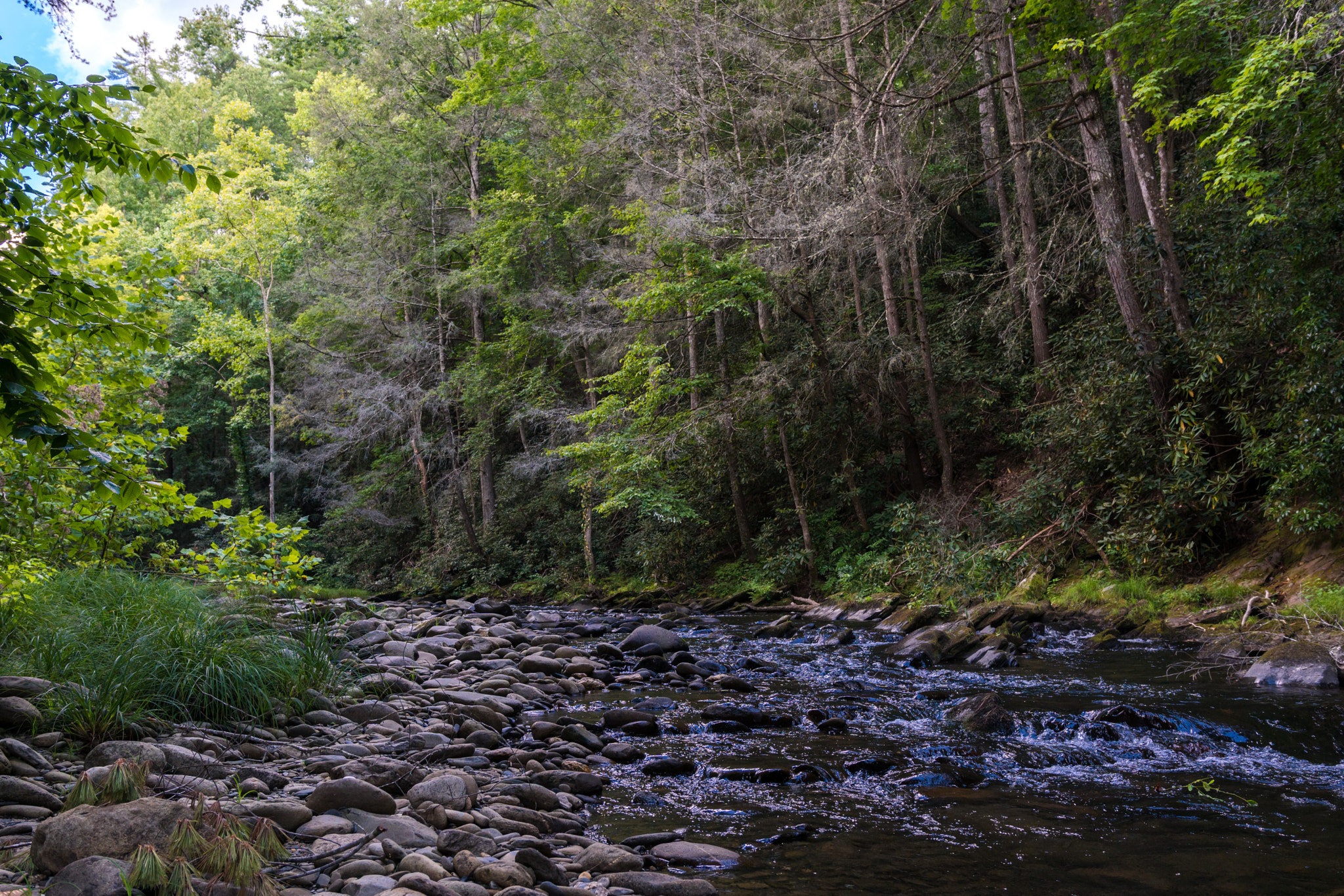 Sony a6300 + 18-35mm F1.8 DC HSM | Art 013 sample photo. By the river photography