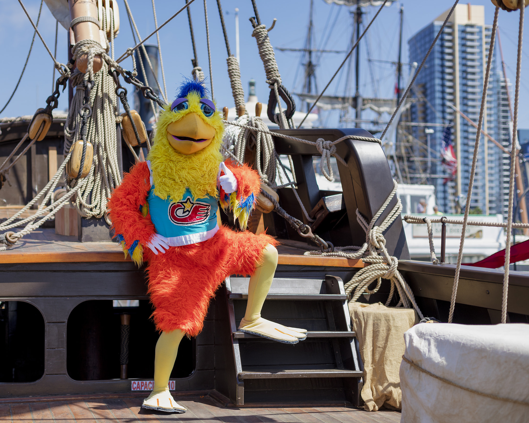 Canon EOS 5DS + Canon EF 50mm F1.4 USM sample photo. The swashbuckling san diego chicken photography