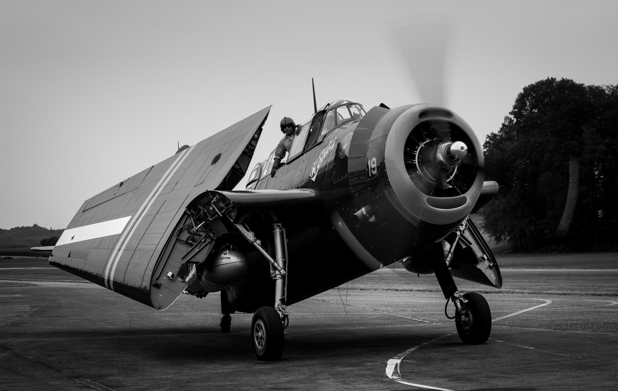 Canon EF 28-135mm F3.5-5.6 IS USM sample photo. Warbird photography