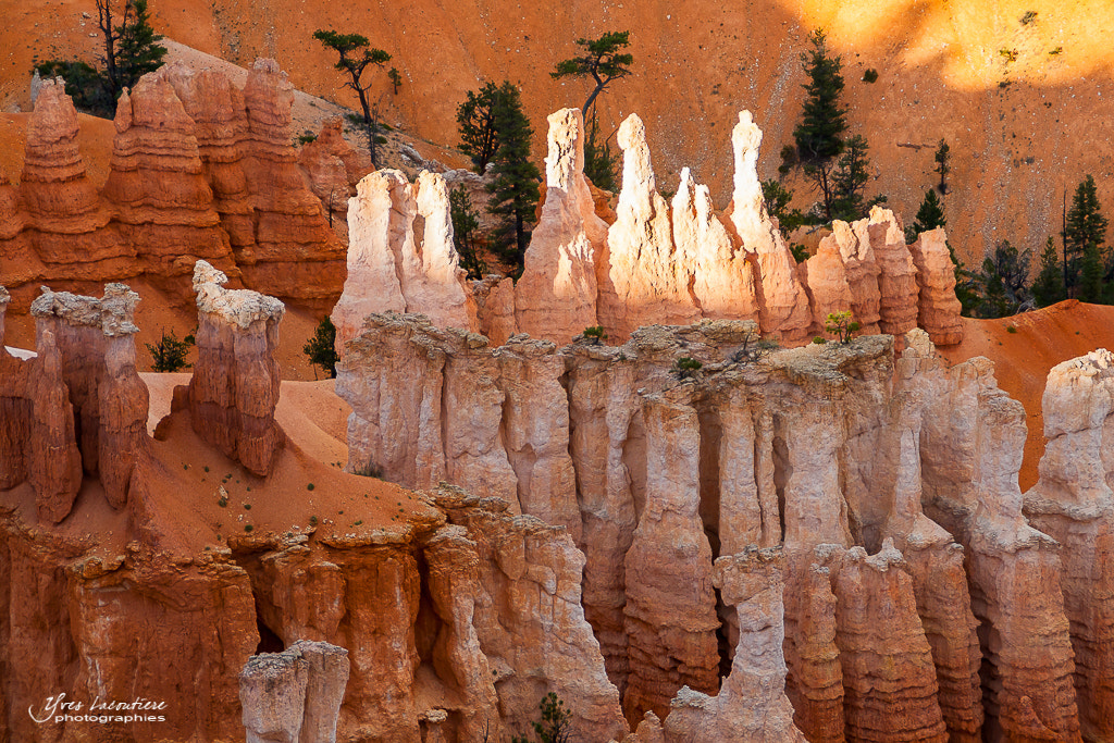 Canon EOS 1000D (EOS Digital Rebel XS / EOS Kiss F) sample photo. Hoodoos at sunset photography