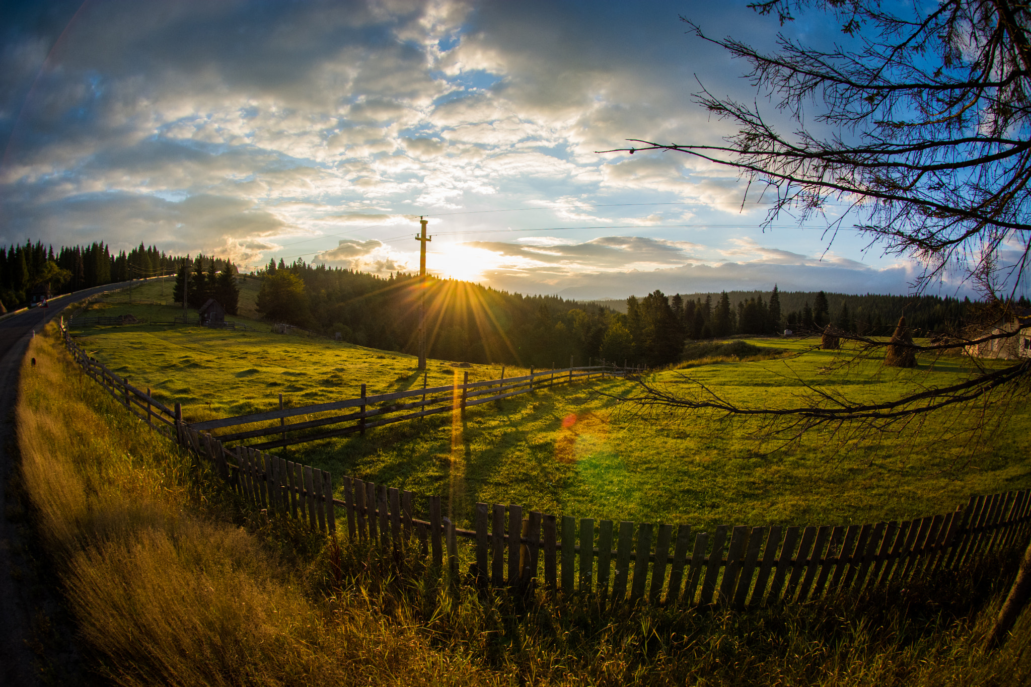 Nikon AF DX Fisheye-Nikkor 10.5mm F2.8G ED sample photo. Raw nature photography
