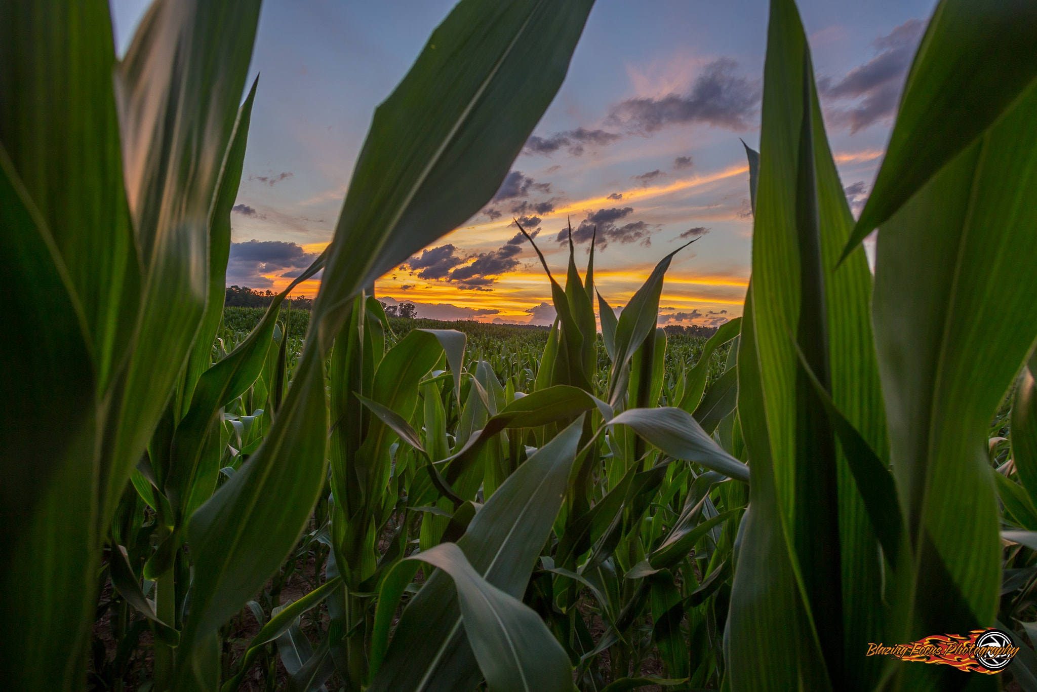 Canon EOS 6D + Canon EF 17-35mm f/2.8L sample photo. Cornset photography