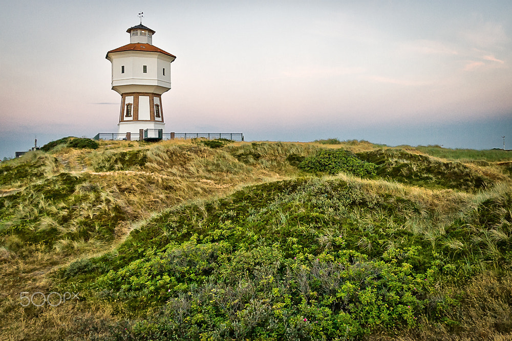 Sigma 10-20mm F3.5 EX DC HSM sample photo. The water tower photography