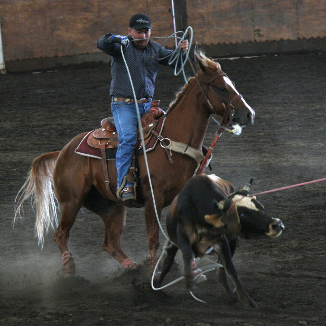 Canon EOS 1000D (EOS Digital Rebel XS / EOS Kiss F) sample photo. Cowboy in action!  photography