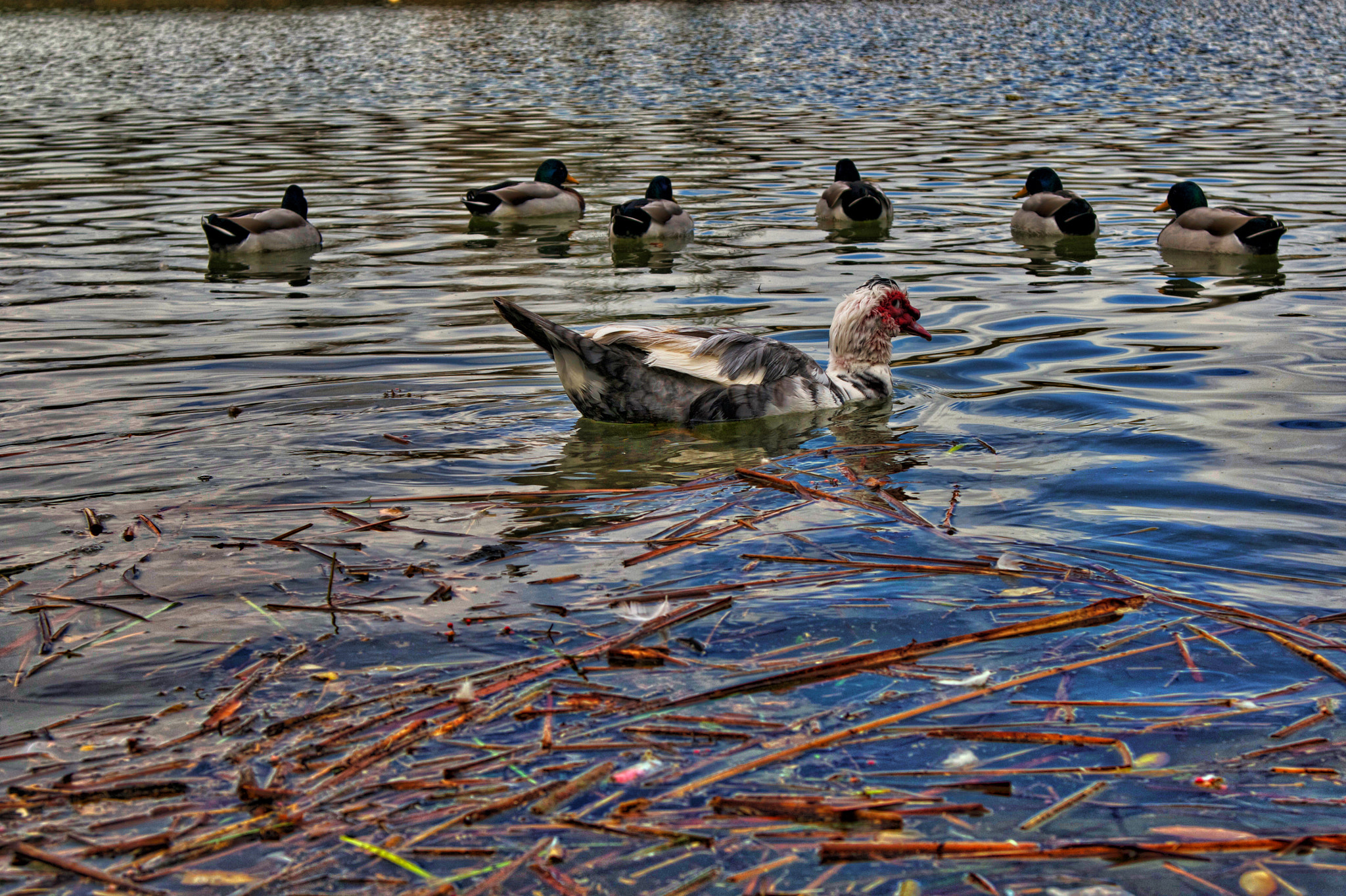 Samsung NX100 sample photo. Nature photography