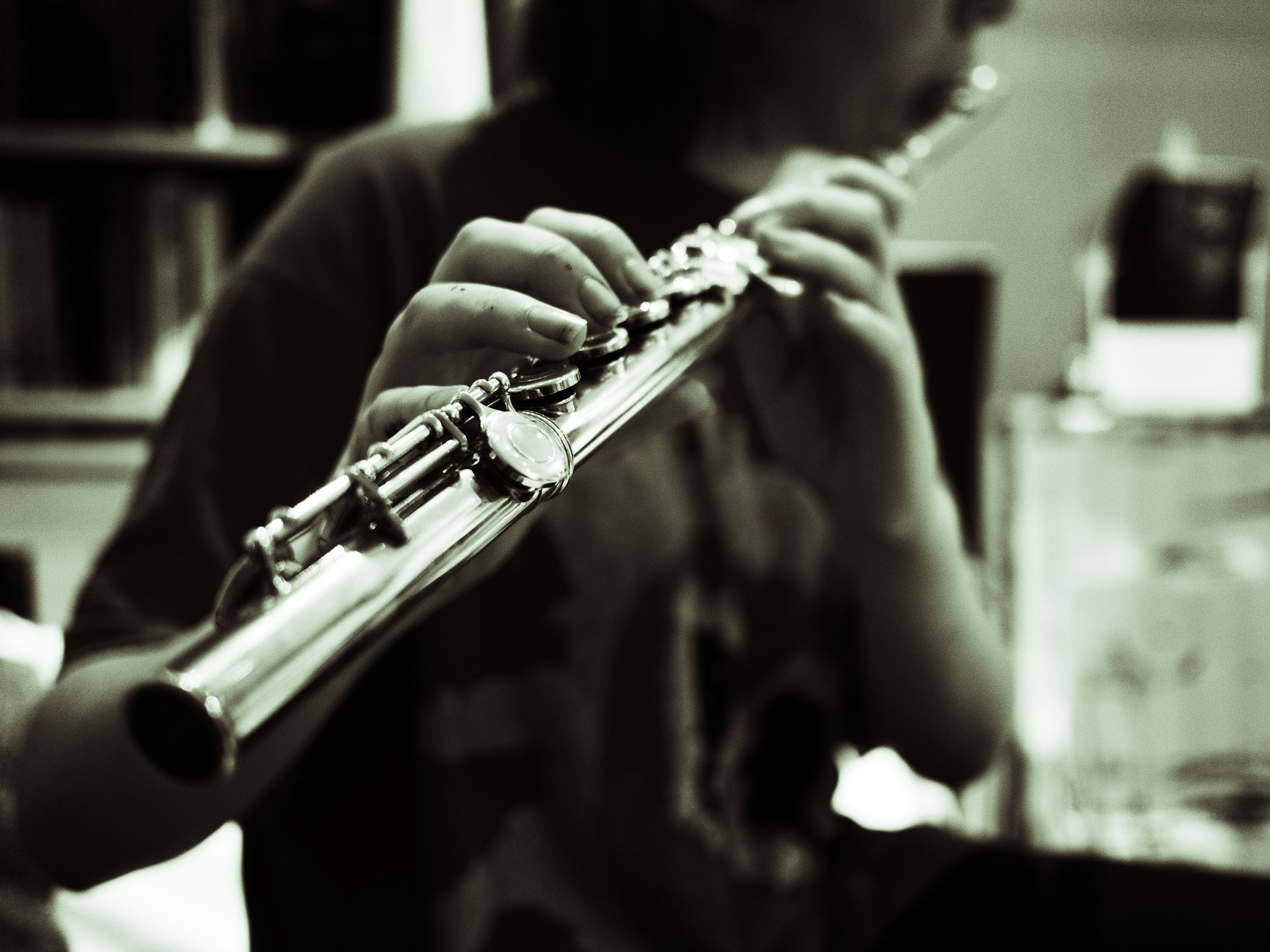 Panasonic Lumix DMC-GX8 + LUMIX G 20/F1.7 II sample photo. Flute noir photography