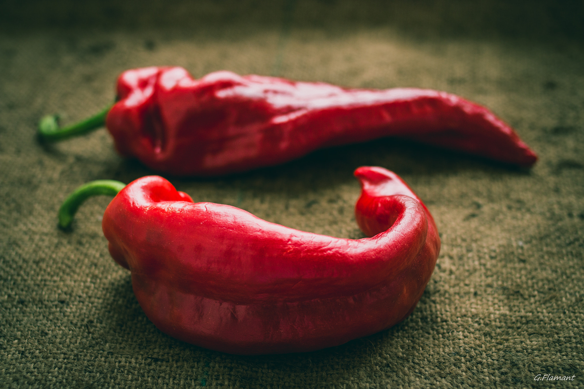 Canon EOS 70D + Canon EF 35mm F2 sample photo. Ces deux tordu sont des poivrons ! photography