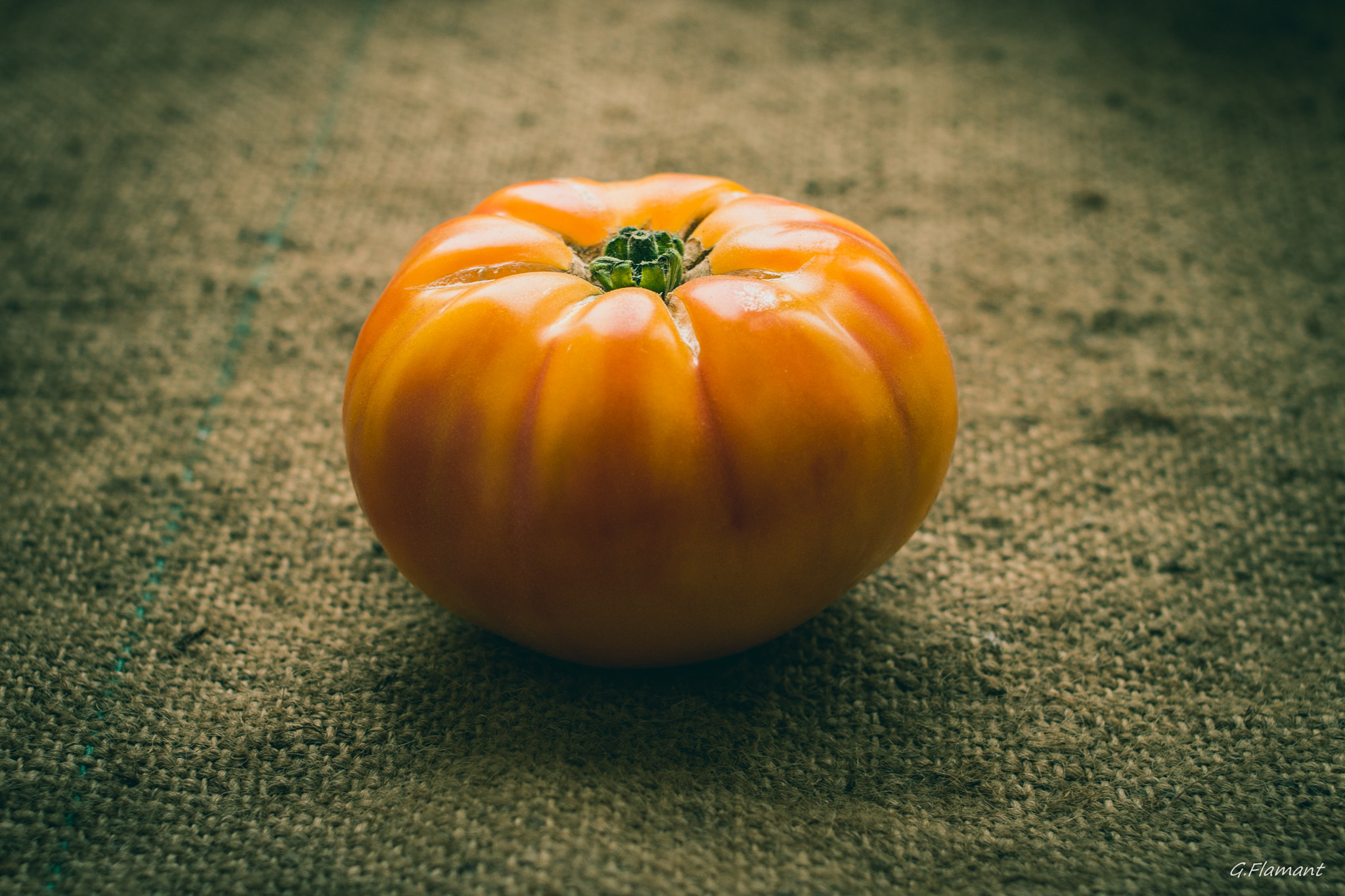 Canon EOS 70D + Canon EF 35mm F2 sample photo. Ceci est une tomate ! photography