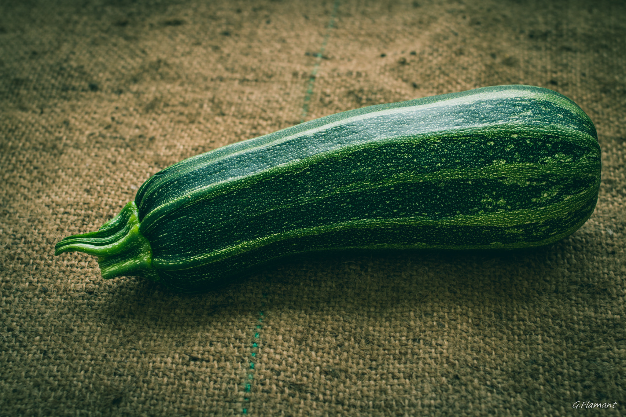 Canon EOS 70D + Canon EF 35mm F2 sample photo. Ceci est une courgette ! si si je vous l'assure photography