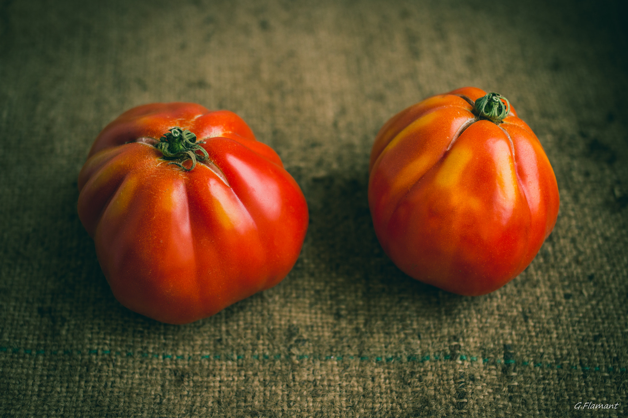 Canon EOS 70D + Canon EF 35mm F2 sample photo. Ces deux là sont deux tomates, 1, 2, oui c'est bien ça ! photography