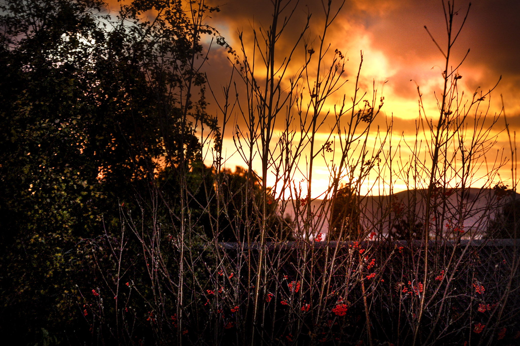 Nikon D50 sample photo. Bariloche sunset.... photography
