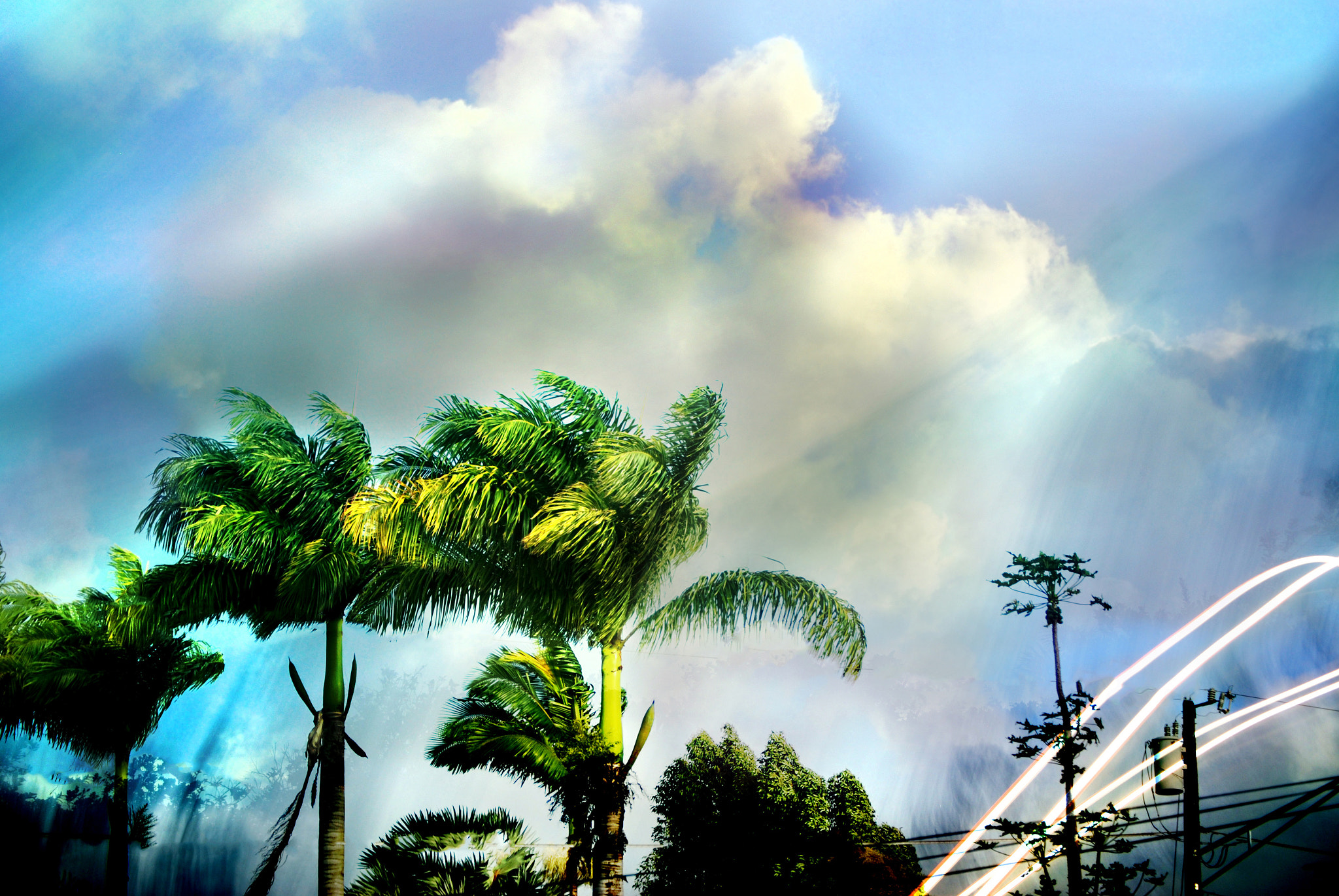 Nikon D80 sample photo. Road to hell series: brand new day photography